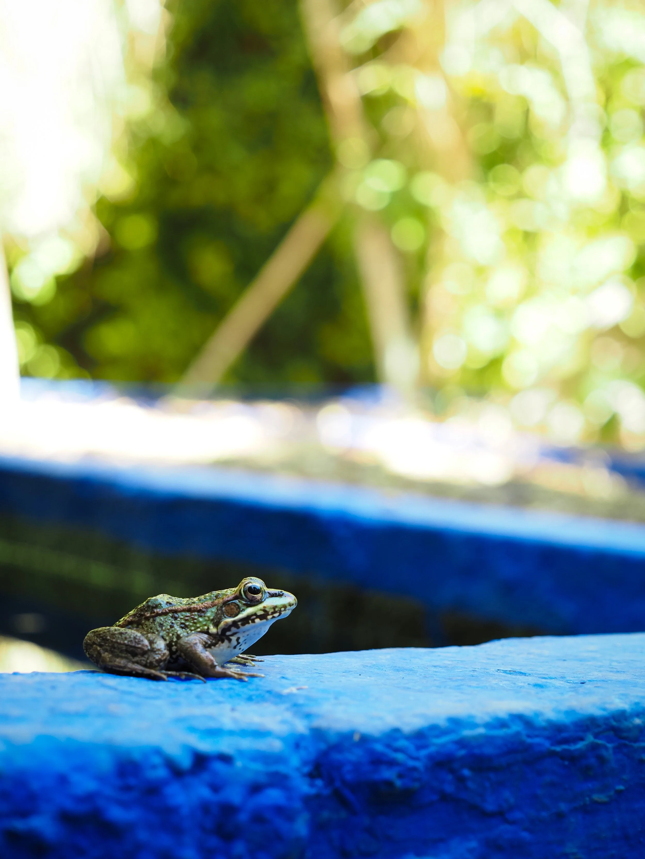 Marrakech, Morocco - 2024
