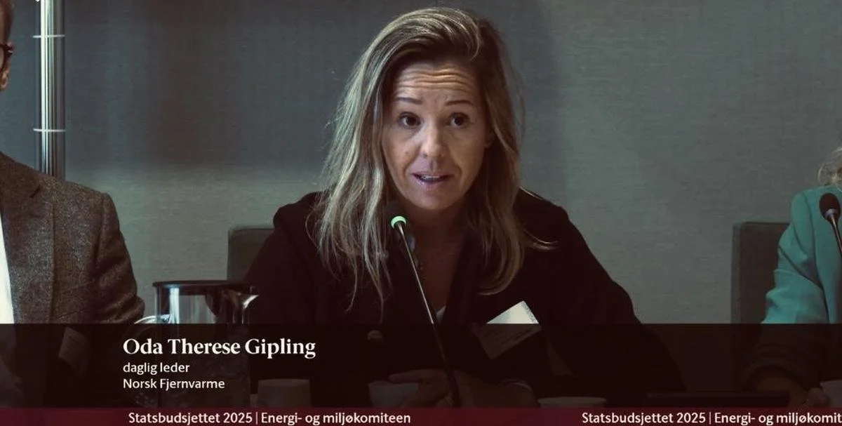 Høring i energi- og miljøkomiteen om fjernvarmesatsing og avgiftspolitikk