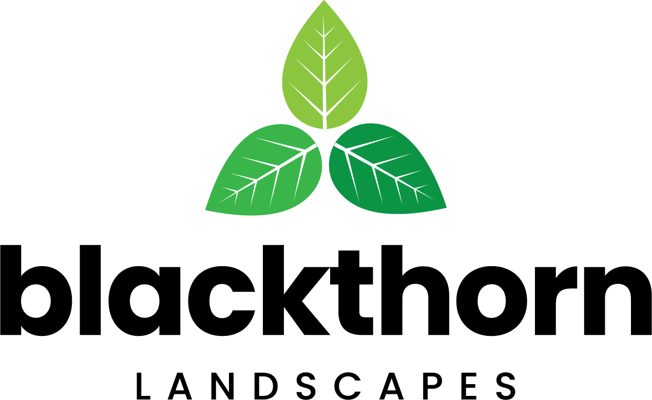 Blackthorn Landscapes