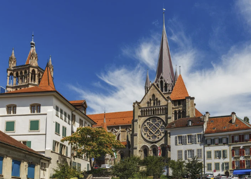 Digital Wellbeing and Mental Health: Challenges, Opportunities and Calls for Action