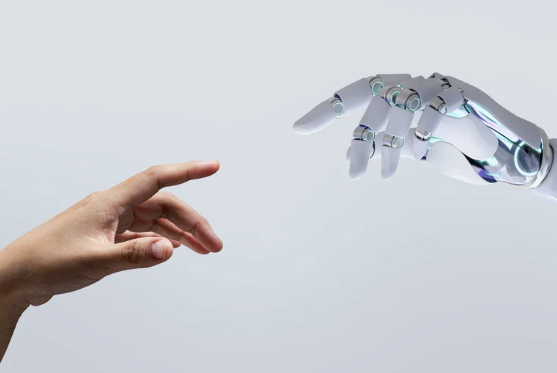 Human Artificial Intelligence and Mental Health Support