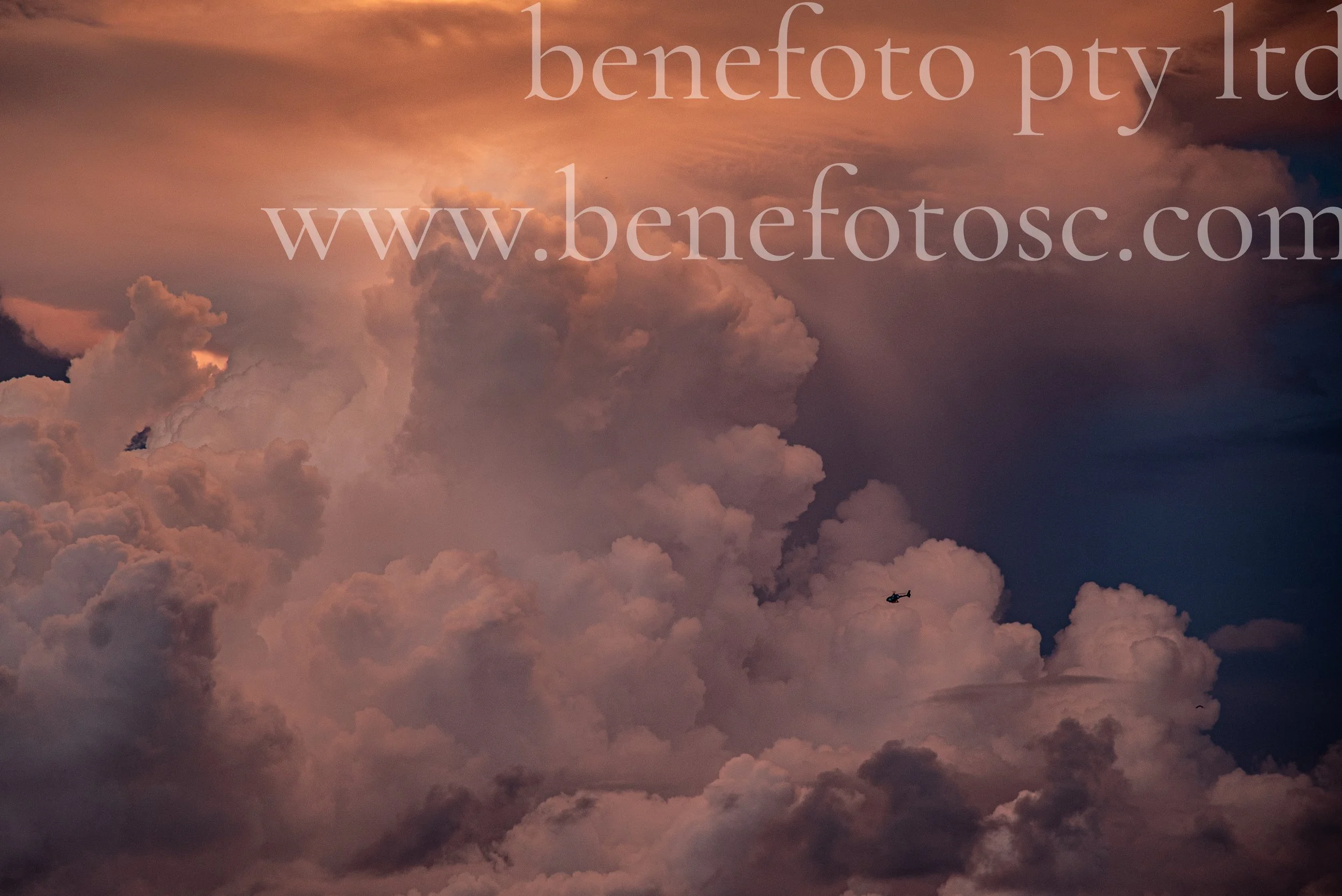 MGH background (12 of 17).jpg