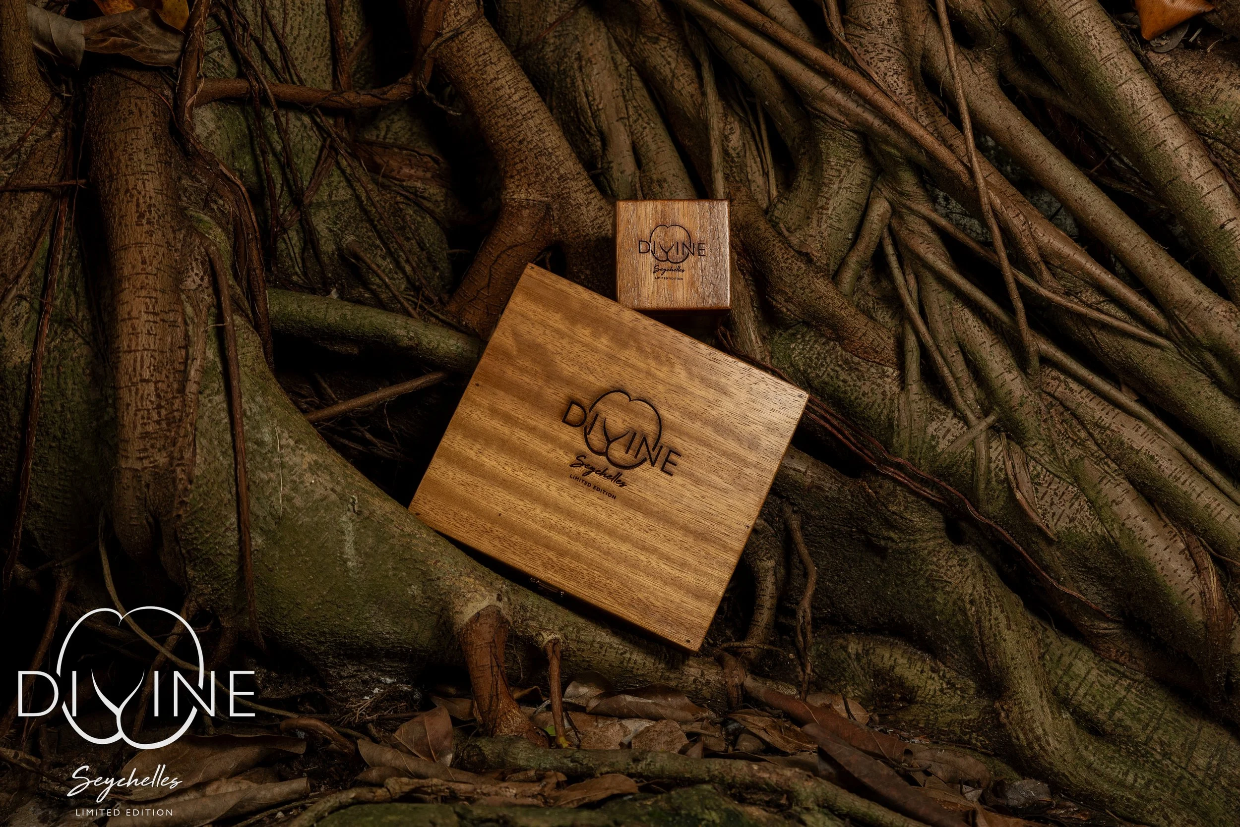 divine (19 of 19).jpg