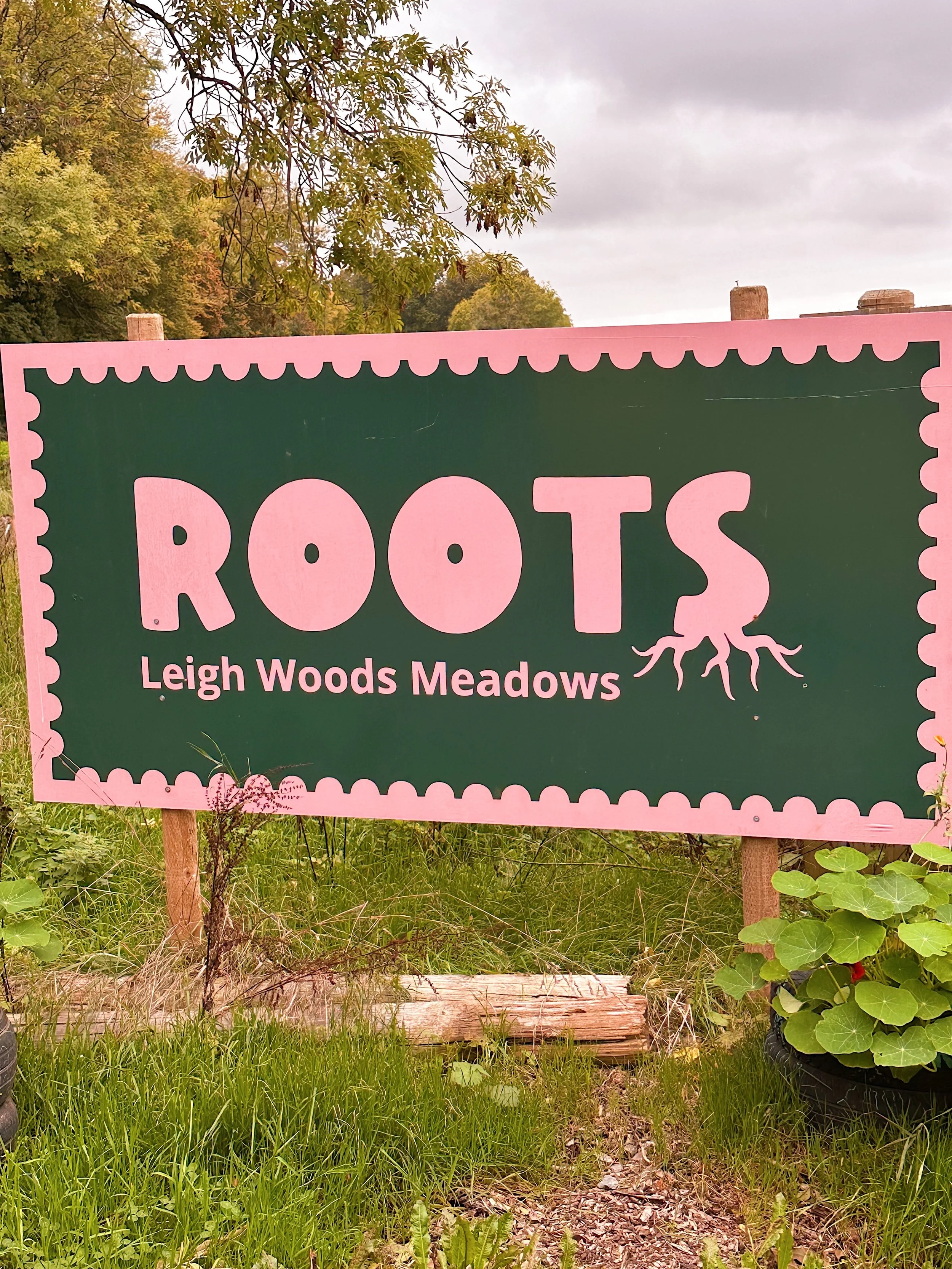 The wild village x roots allotment: a growing taster