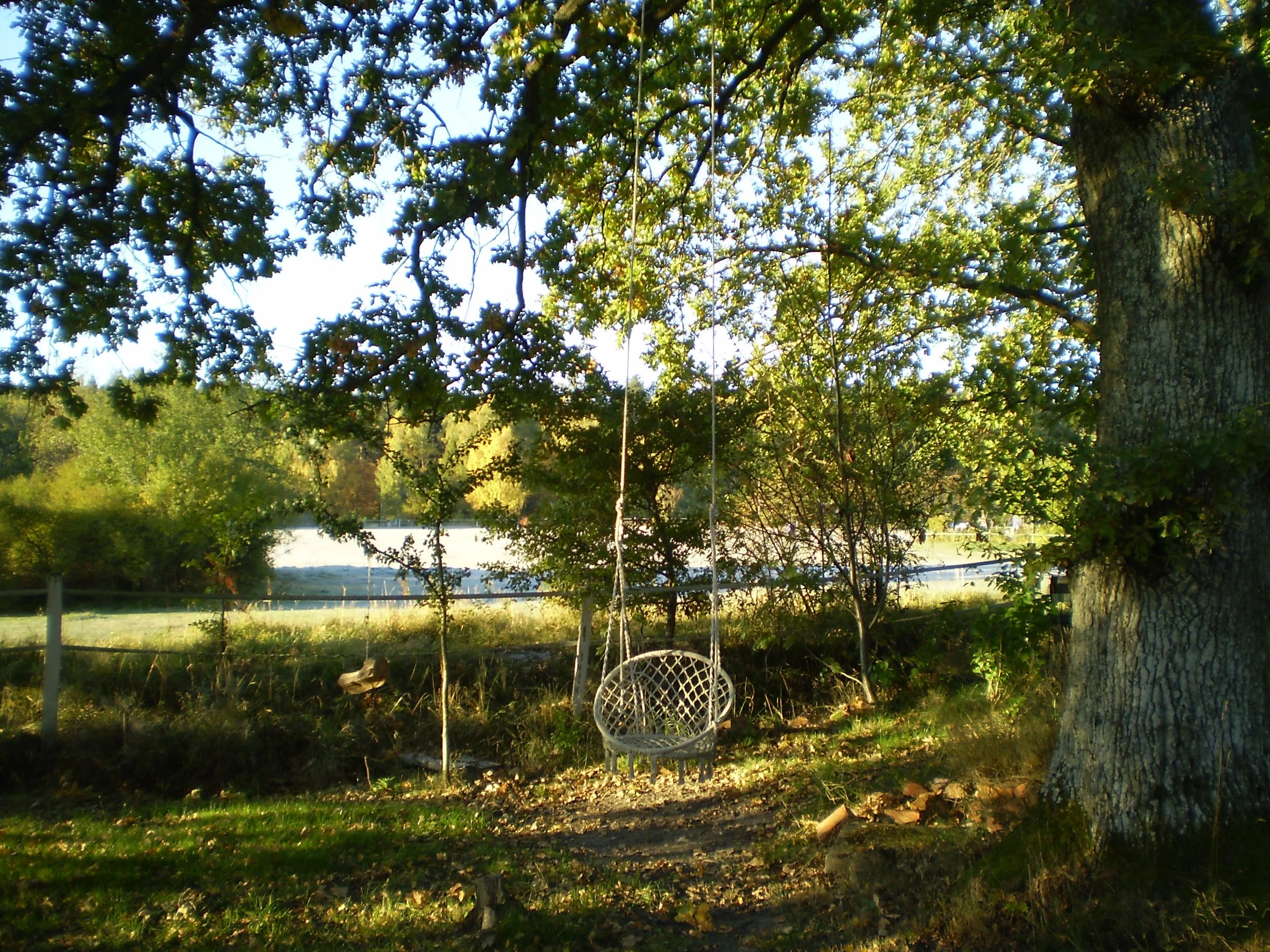 En liten julhälsning som kommer här i december