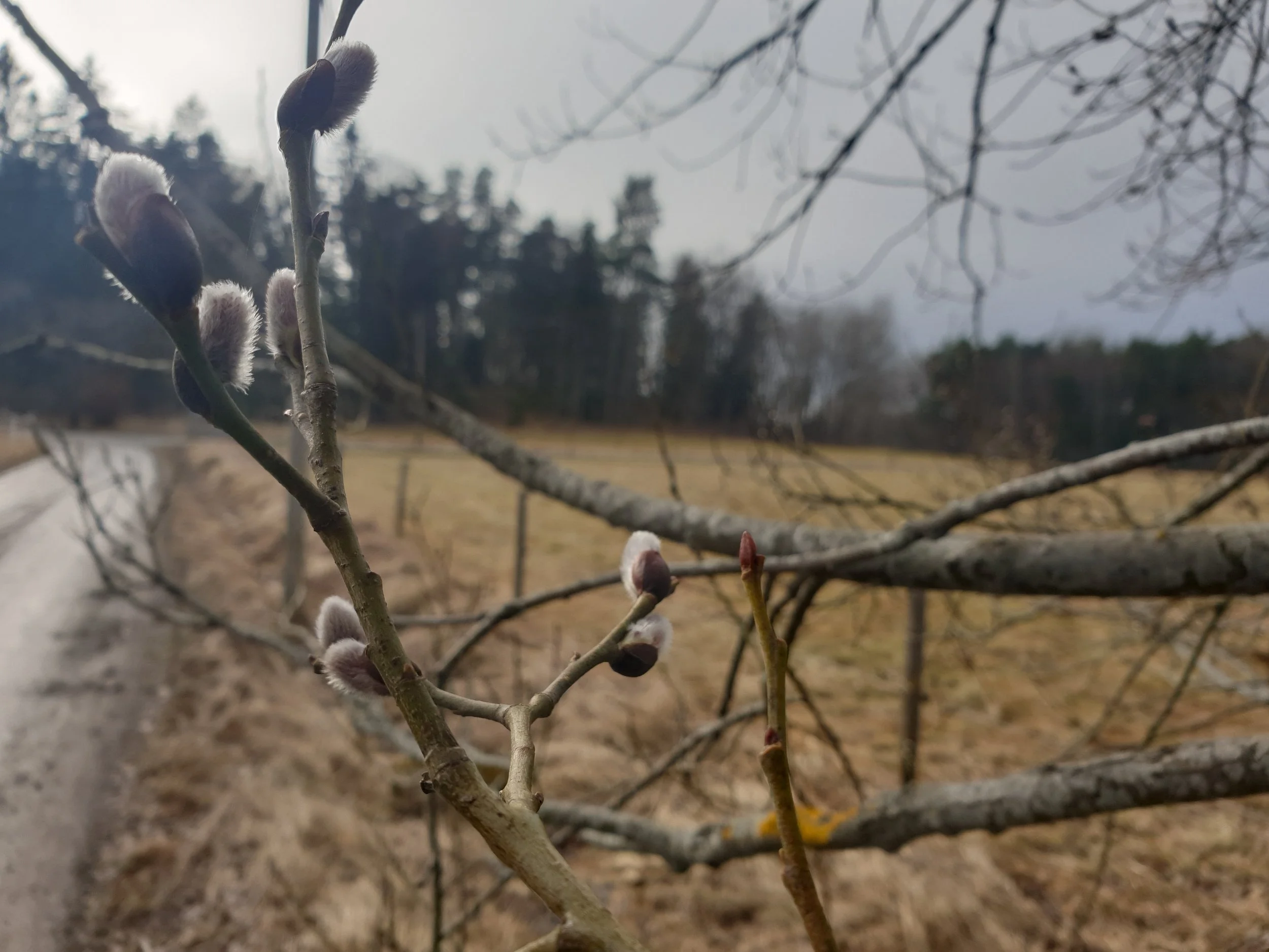 Mars och vårdagjämning