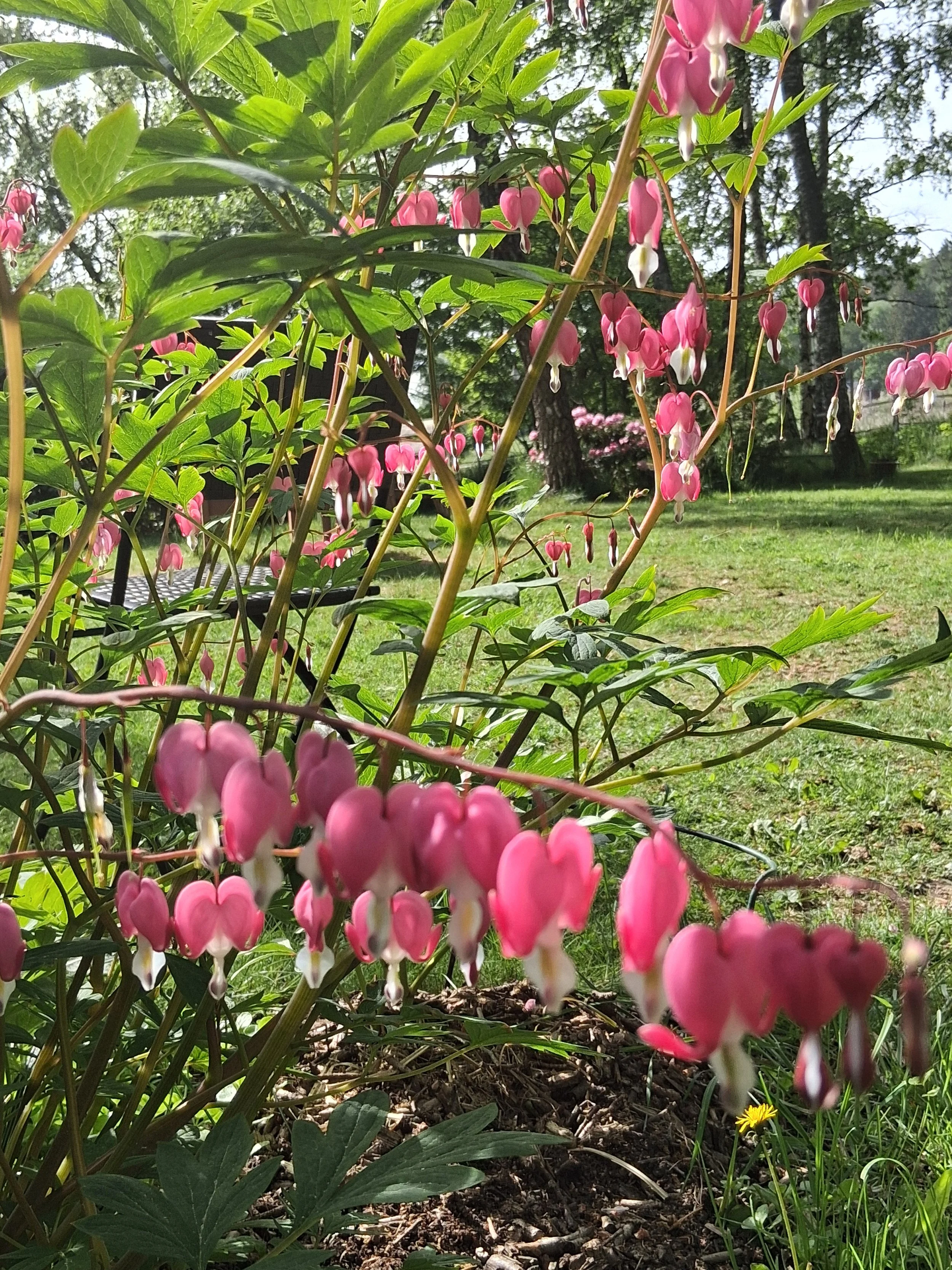 Försommar