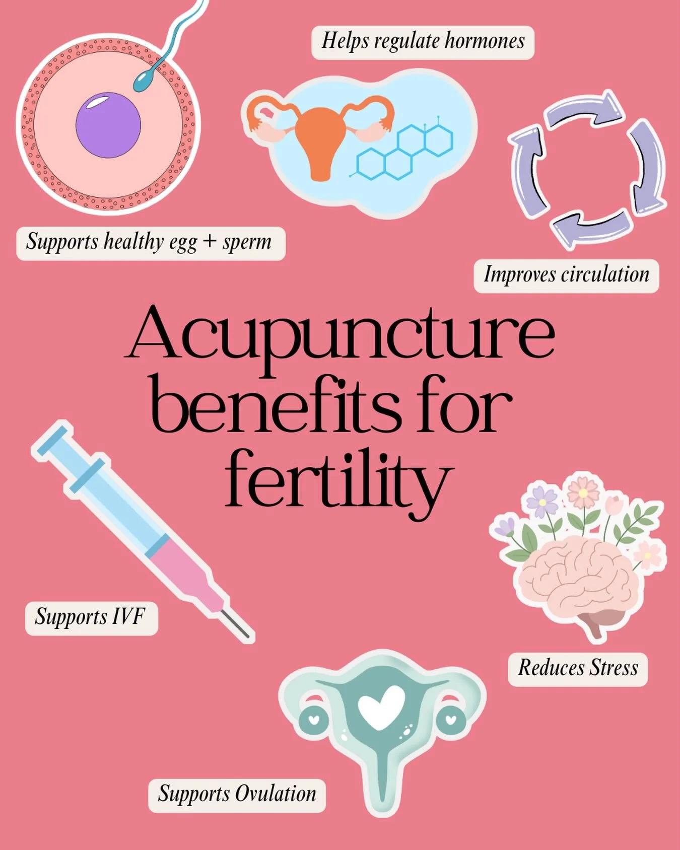Fertility journeys can be emotional and unpredictable. Acupuncture offers a space to slow down, tune into your body and support it gently.
I&rsquo;m fertility support trained and here to support you on this journey. 
Head to my website for more info 