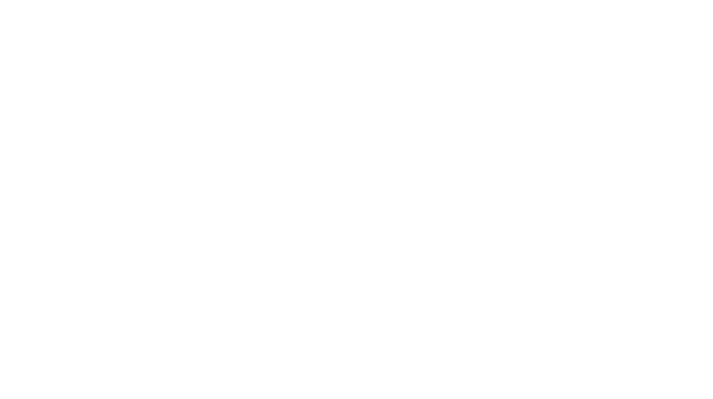 Empty white background with a faint border.