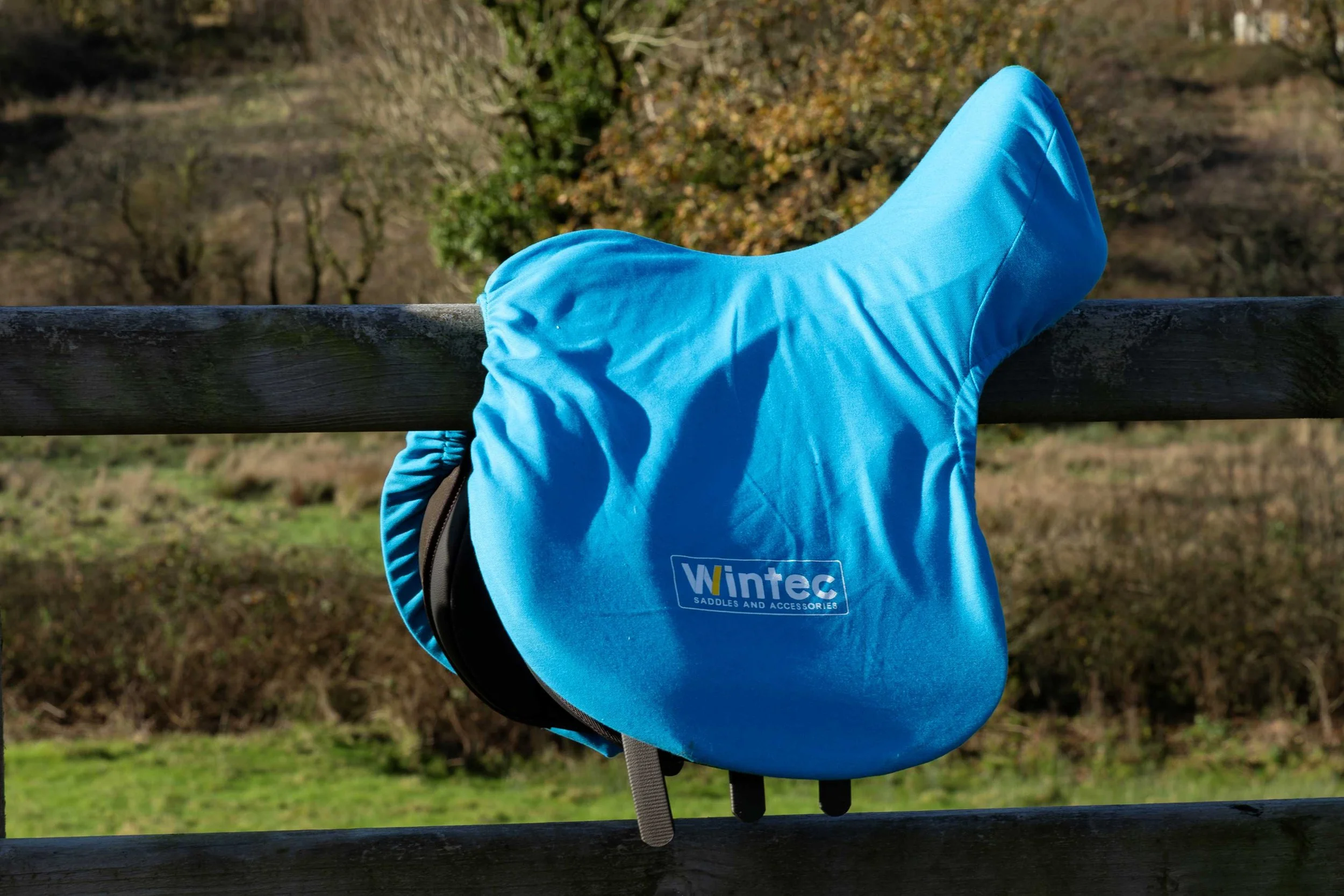 Test New Saddle 1 (Acuity)