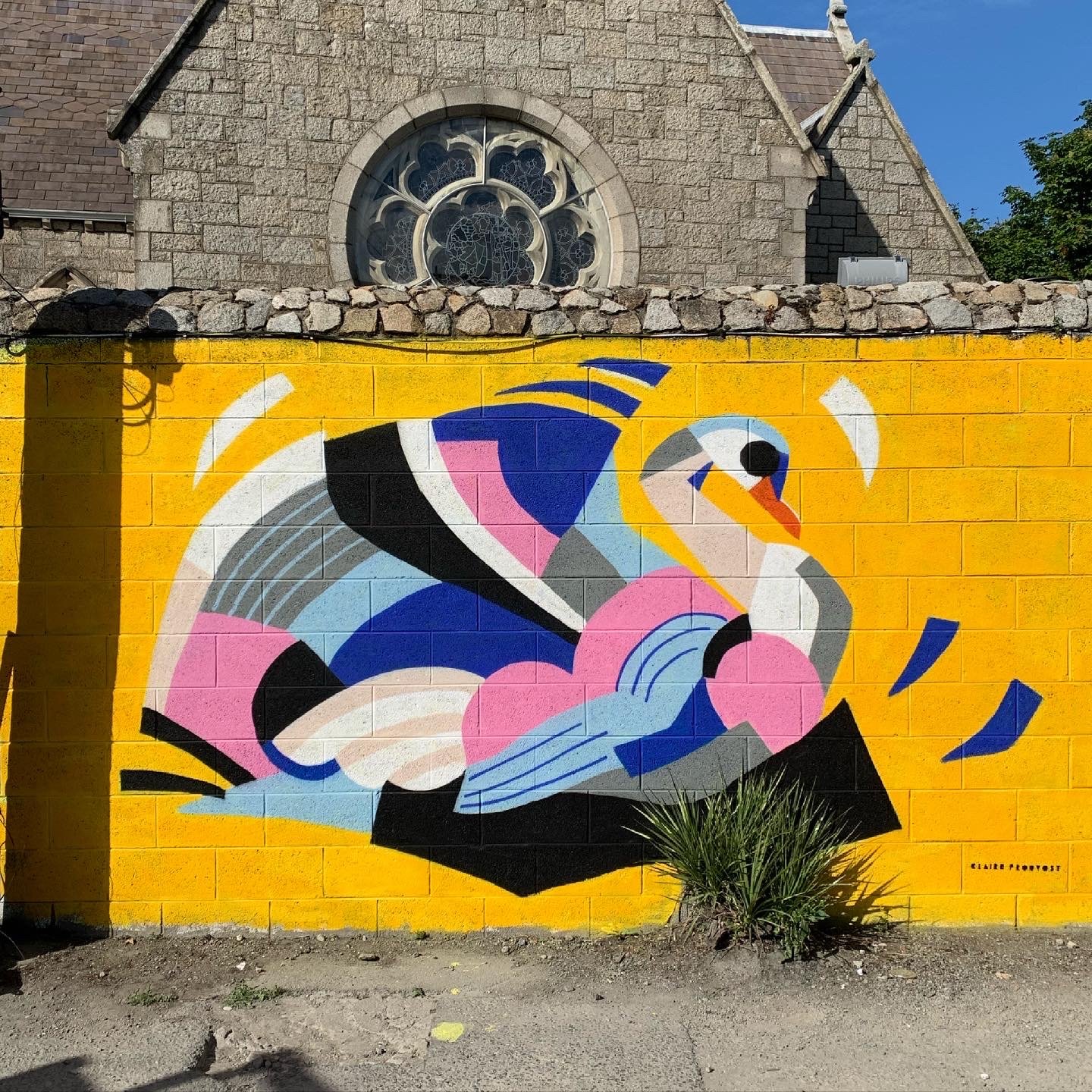 6F2FB73B-D7D1-484A-938D-D0310017C6D8 2.JPG