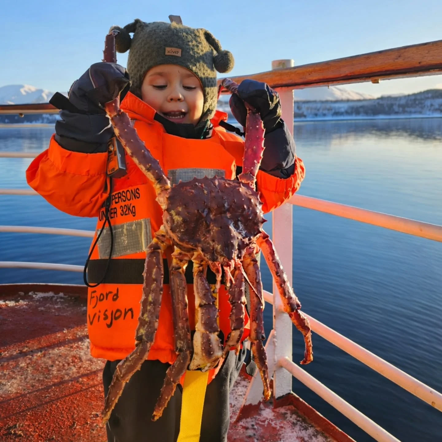 Brought a little friend for king crab fishing the other day 🙌 

#kingcrab #troms&oslash; #tromsolove #arcticwinter