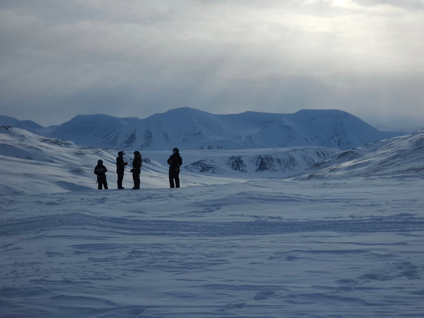 How spring looks like up here 🙃