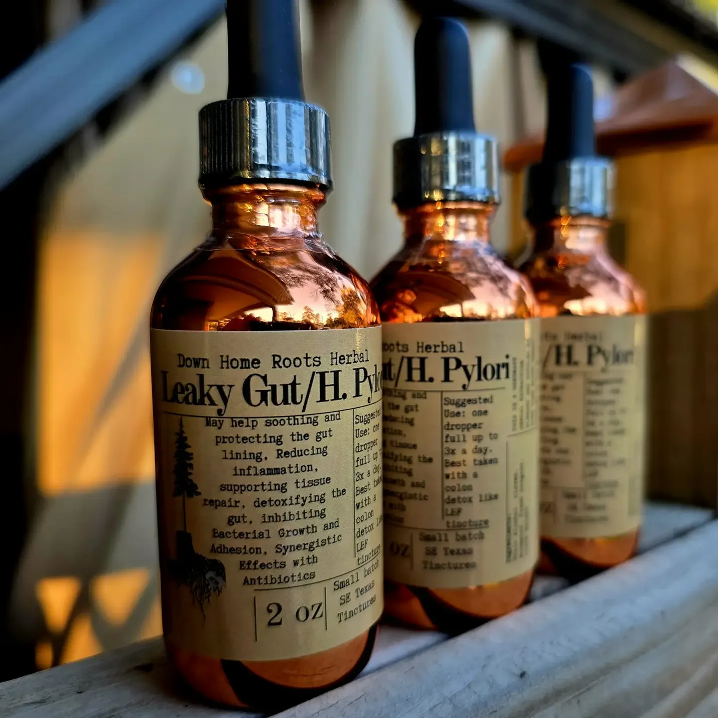 Leaky Gut/ H. Pylori Tincture