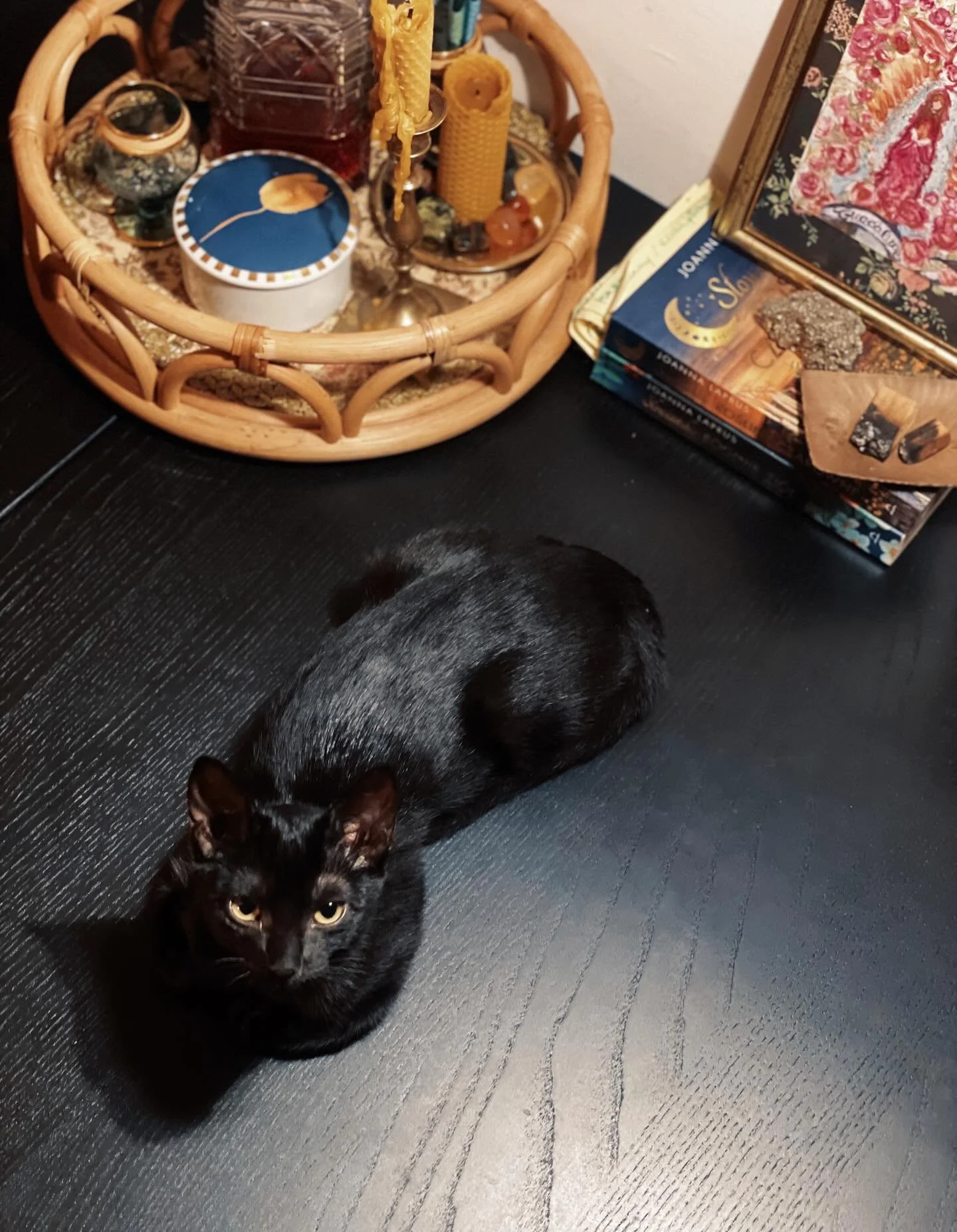 Meet the CEO of Fanaberia Alchemy &mdash; specializing in knocking bottles, adding mischief, and judging management decisions (aka me).

#tonka #fanaberia #folkherbalism #wisewomantradition