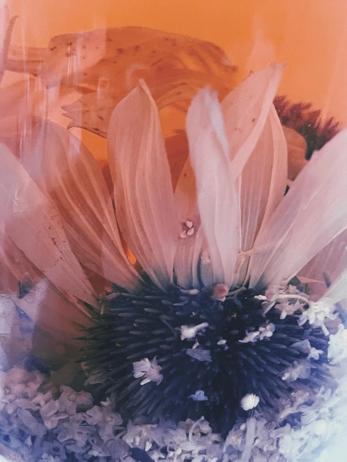 The past 2 months were probably the longest I&rsquo;ve been in Barcelona in one go over the last 2 years. I don&rsquo;t remember when I was &ldquo;home&rdquo; for that long. But just because I wasn&rsquo;t travelling doesn&rsquo;t mean it was boring.