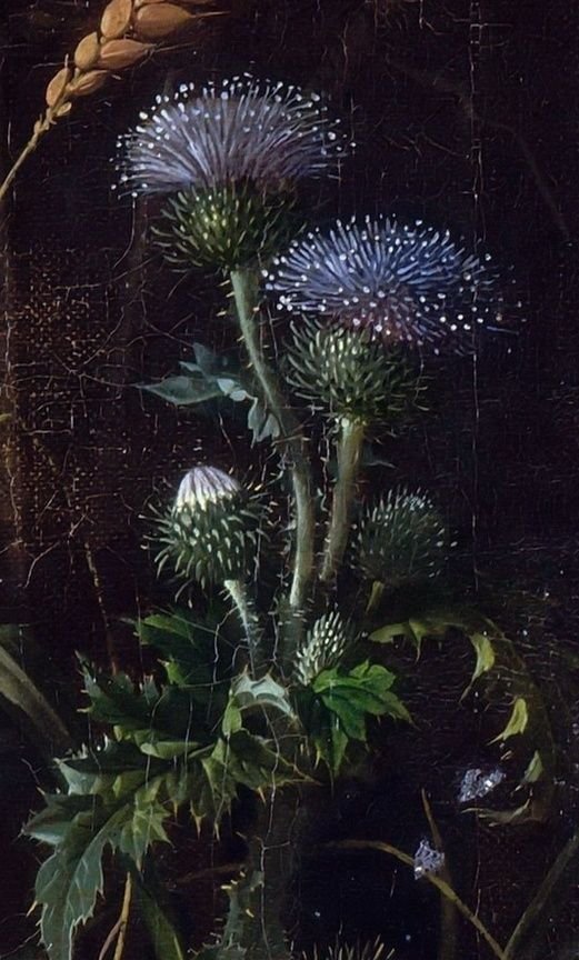 Abraham Mignon -- Flowers, birds, insects and reptiles.jpeg