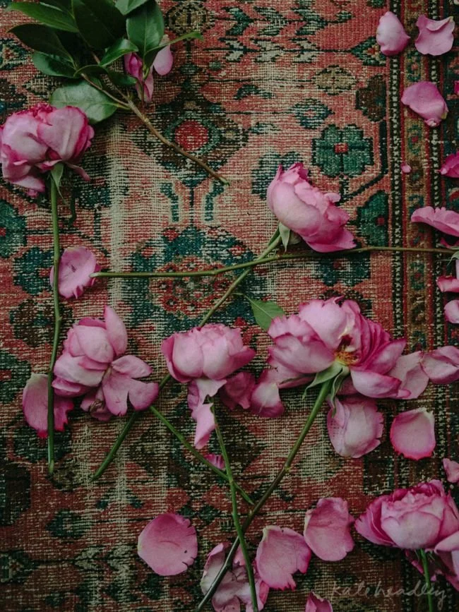 Roses on persian.jpeg