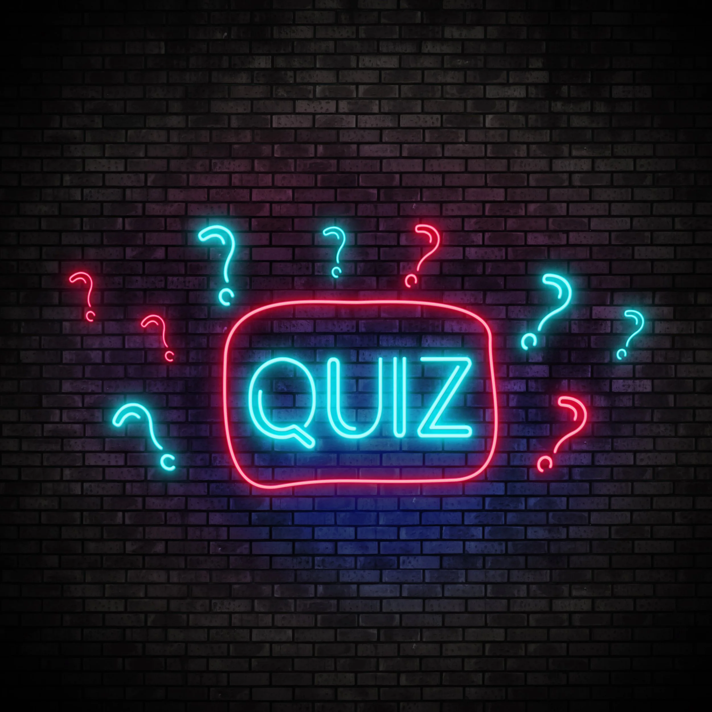 Quiz Night