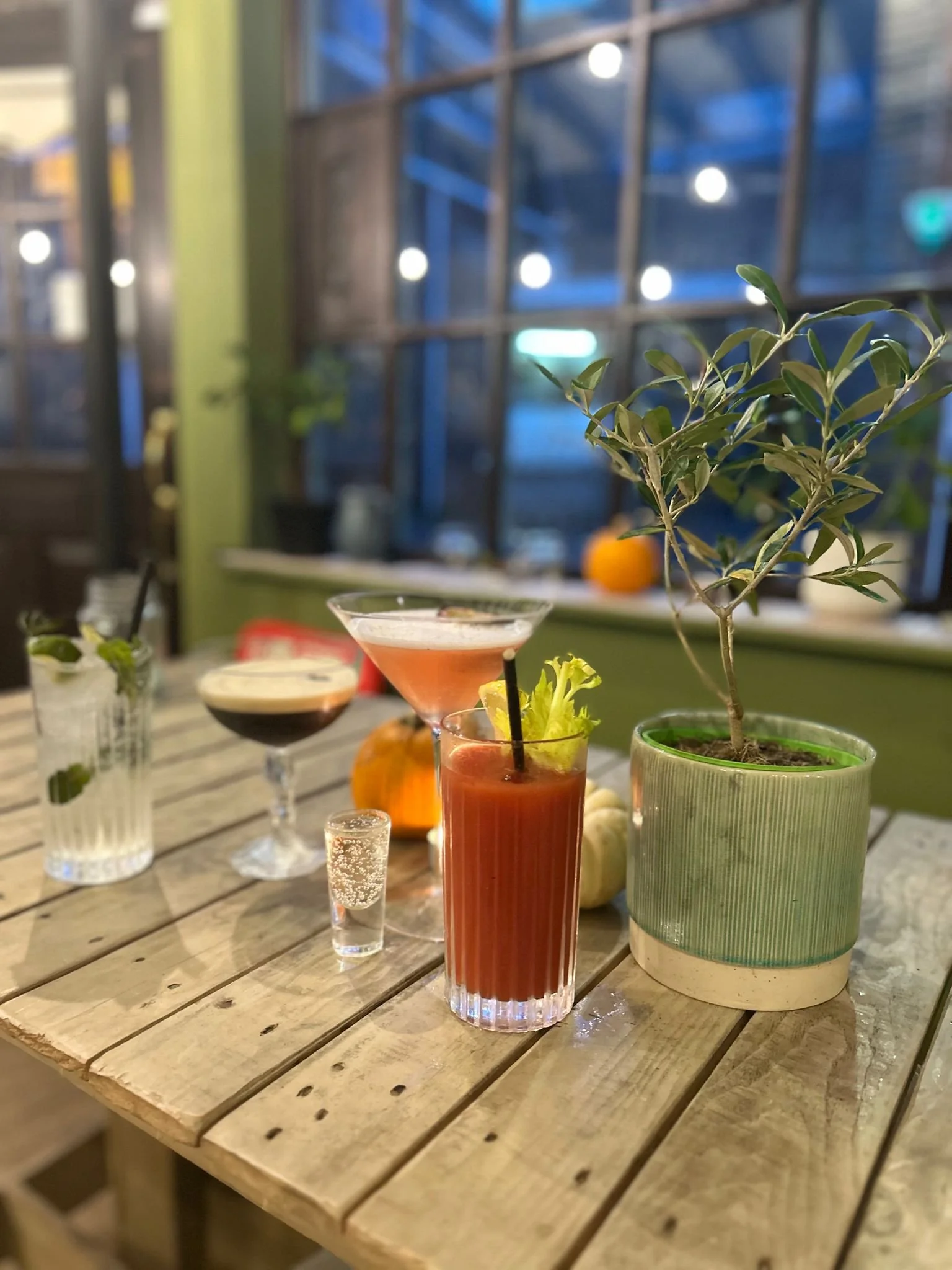 A wooden table set with various colorful drinks, vases with plants, and pumpkins in a cozy indoor setting with large windows.