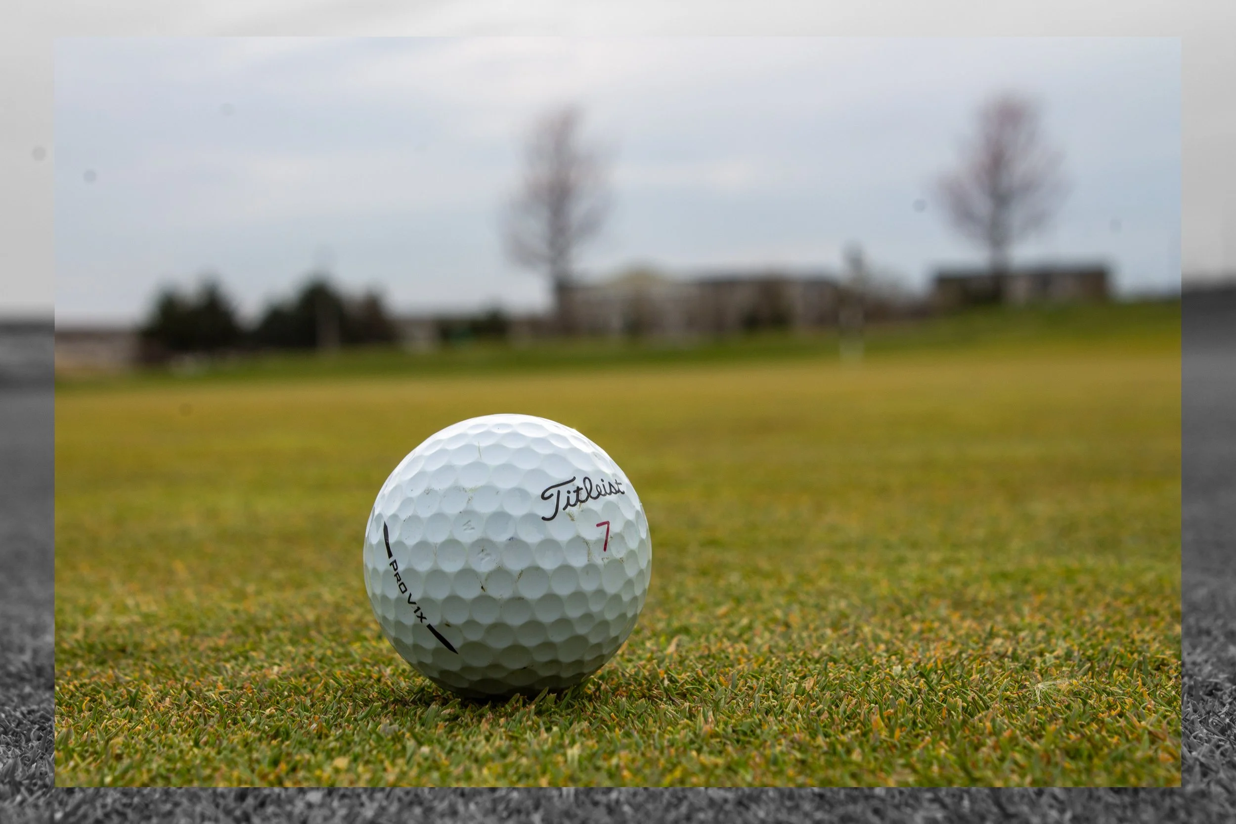 Freestyle #4 - 2.jpg