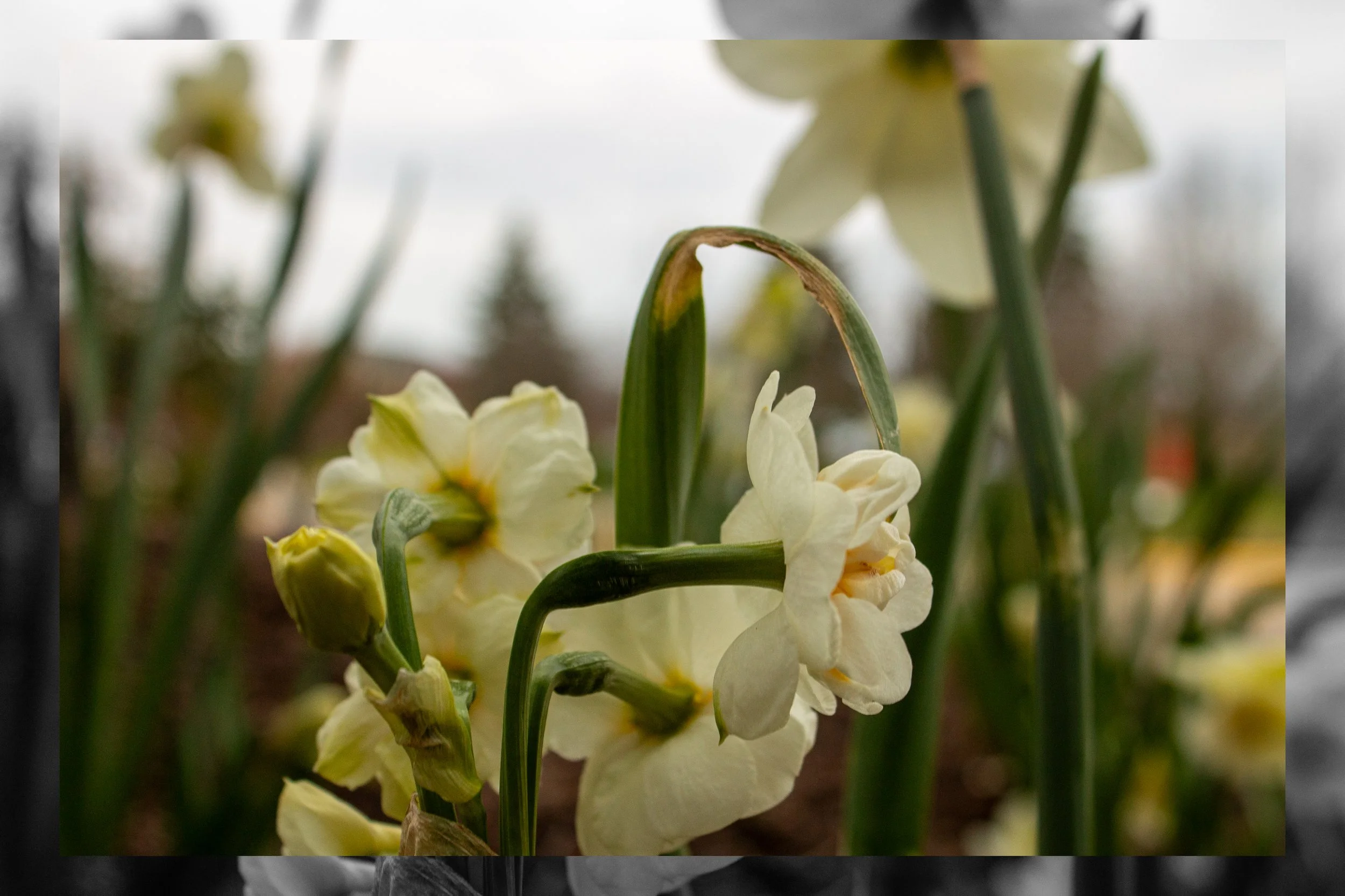 Freestyle #3 - 4.jpg