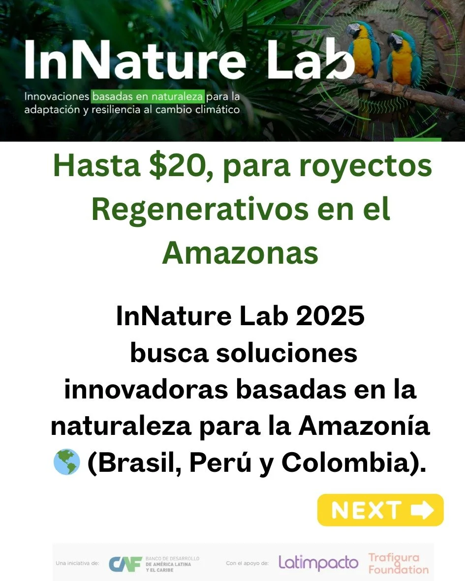 &iexcl;Oportunidad para proyectos regenerativos en la Amazon&iacute;a de @latimpacto ! 🌱

latimpacto.org/innature-lab

La convocatoria InNature Lab 2025 busca impulsar soluciones innovadoras basadas en la naturaleza que fortalezcan la agricultura re