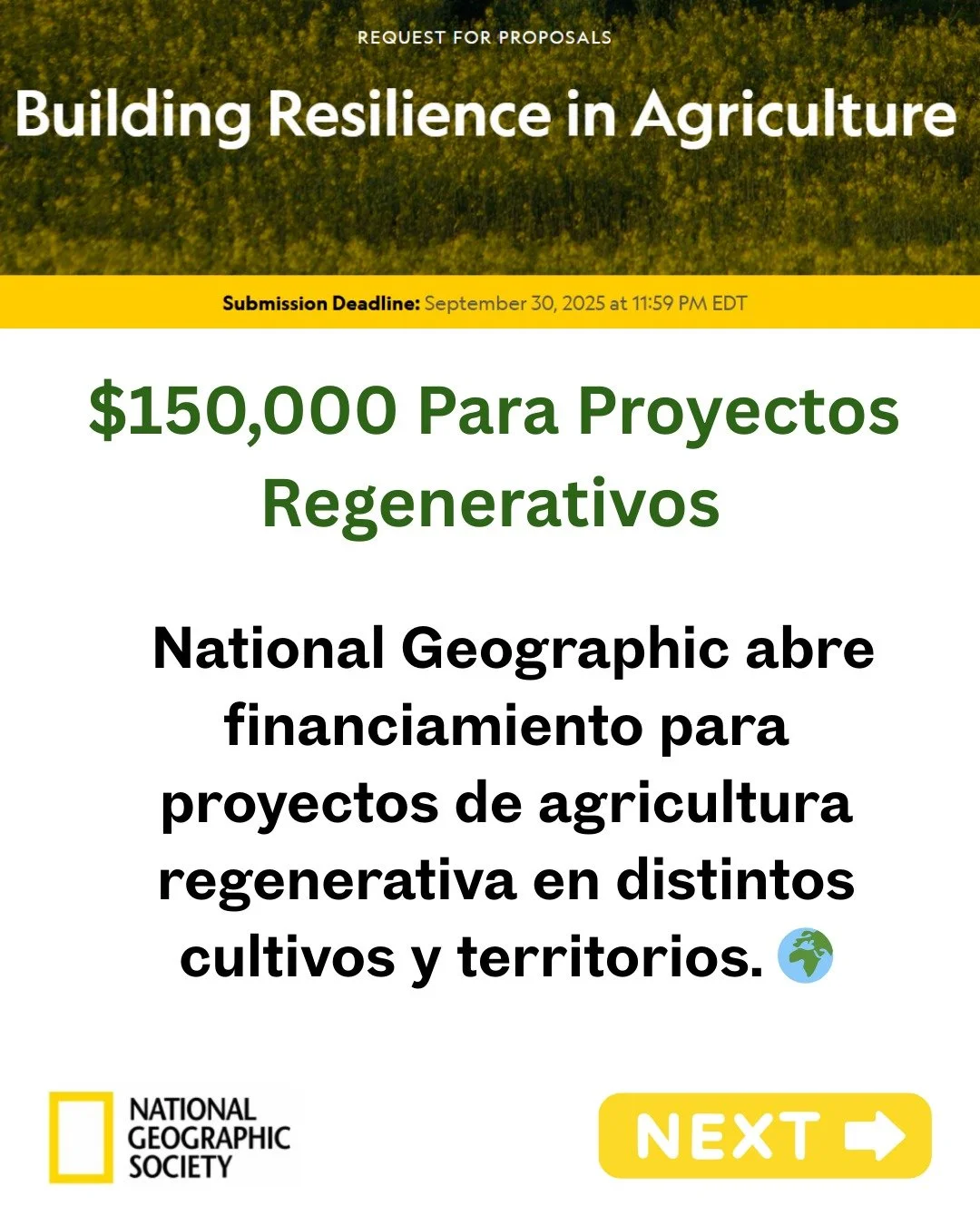 Atenci&oacute;n agricultores, organizaciones y so&ntilde;adores regenerativos!

@natgeo.la acaba de abrir una convocatoria global de financiamiento para proyectos de agricultura regenerativa en distintos cultivos y territorios. 🌎

💰 Hasta USD 150,0