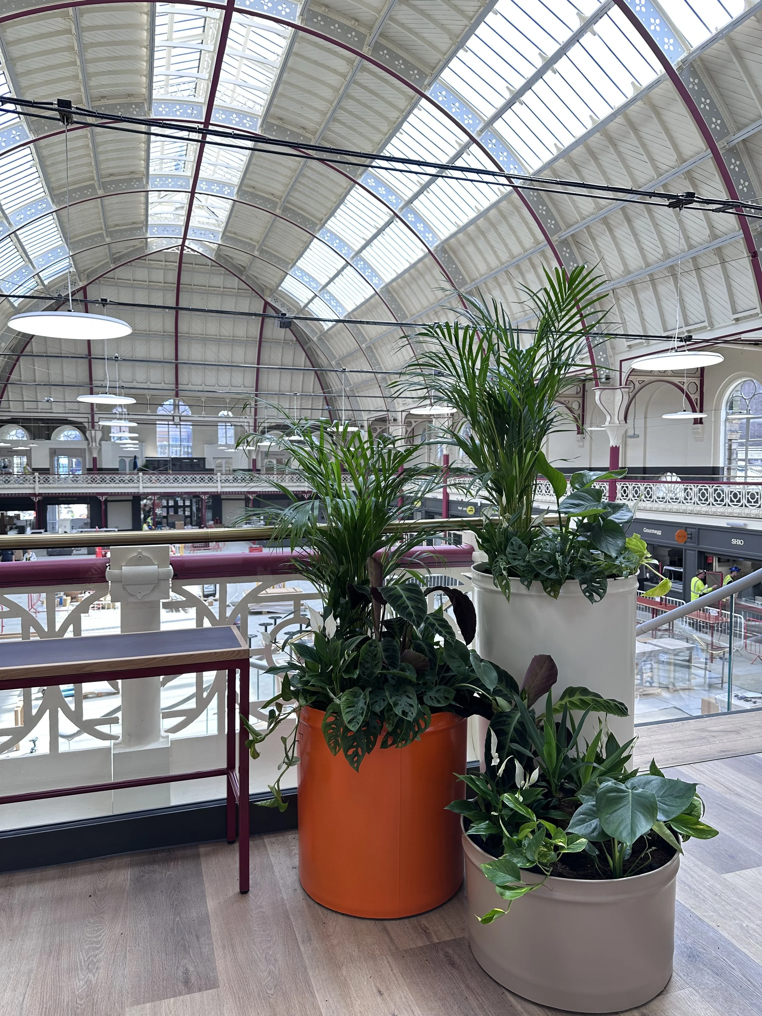 Commercial planting for your business premises. 