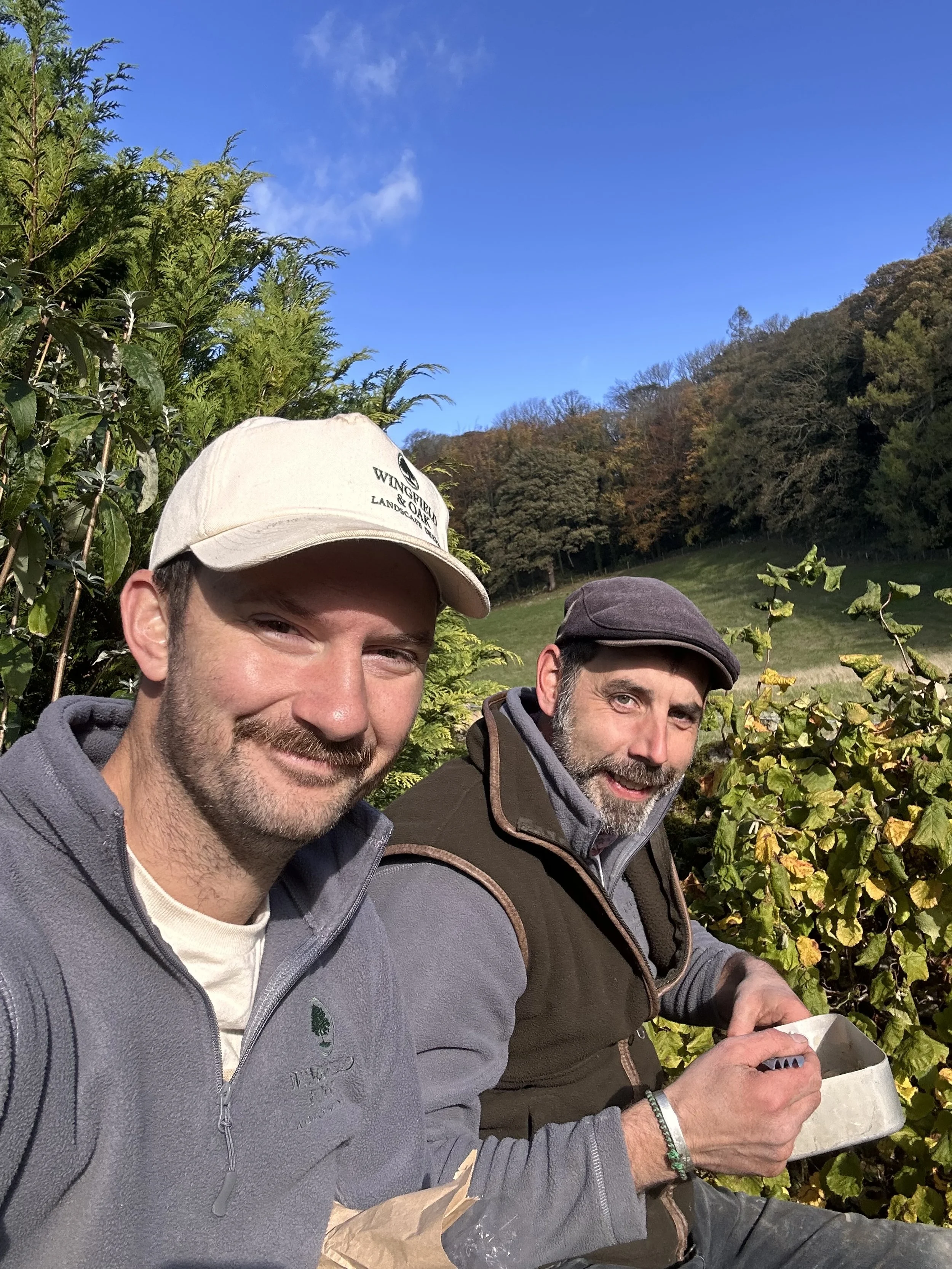 Two men picking grapes outdoors in a vineyard during daytime with blue sky and trees in the background.