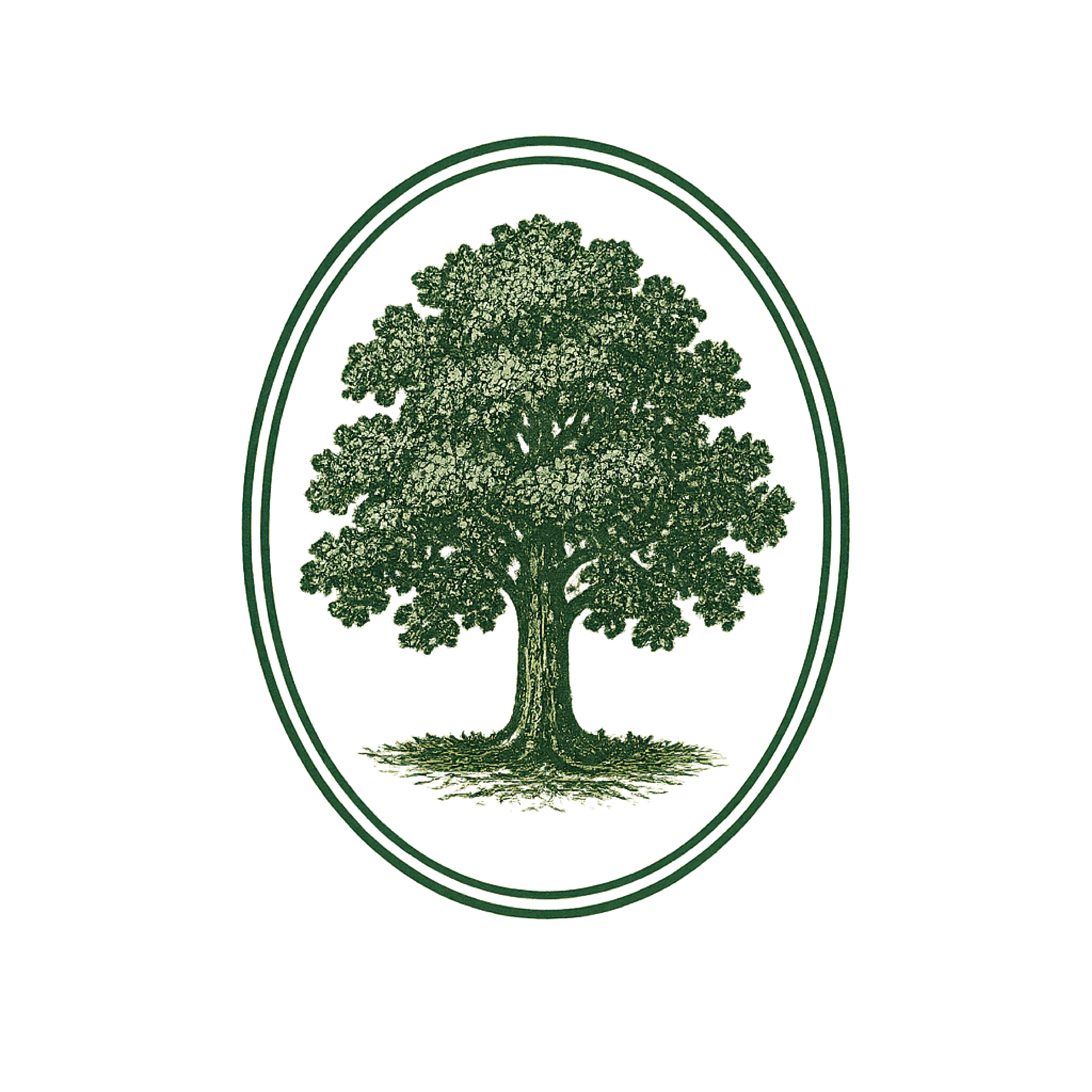 A black and white illustration of a large, mature tree with a thick trunk and expansive canopy, centered within an oval border.