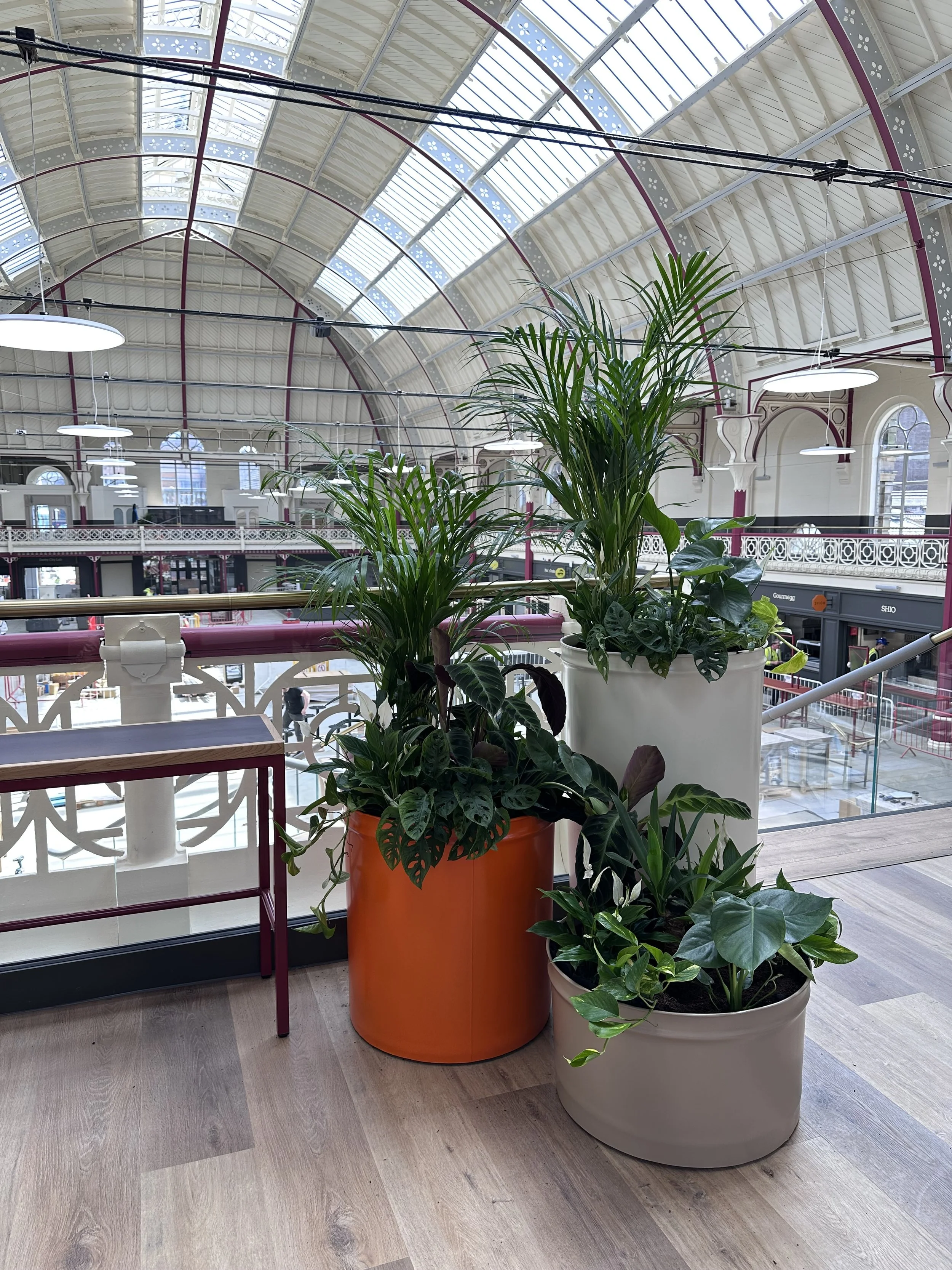 Indoor market or shopping mall with arched glass ceiling and vintage architectural details, decorated with plants in colorful pots on a wooden floor.