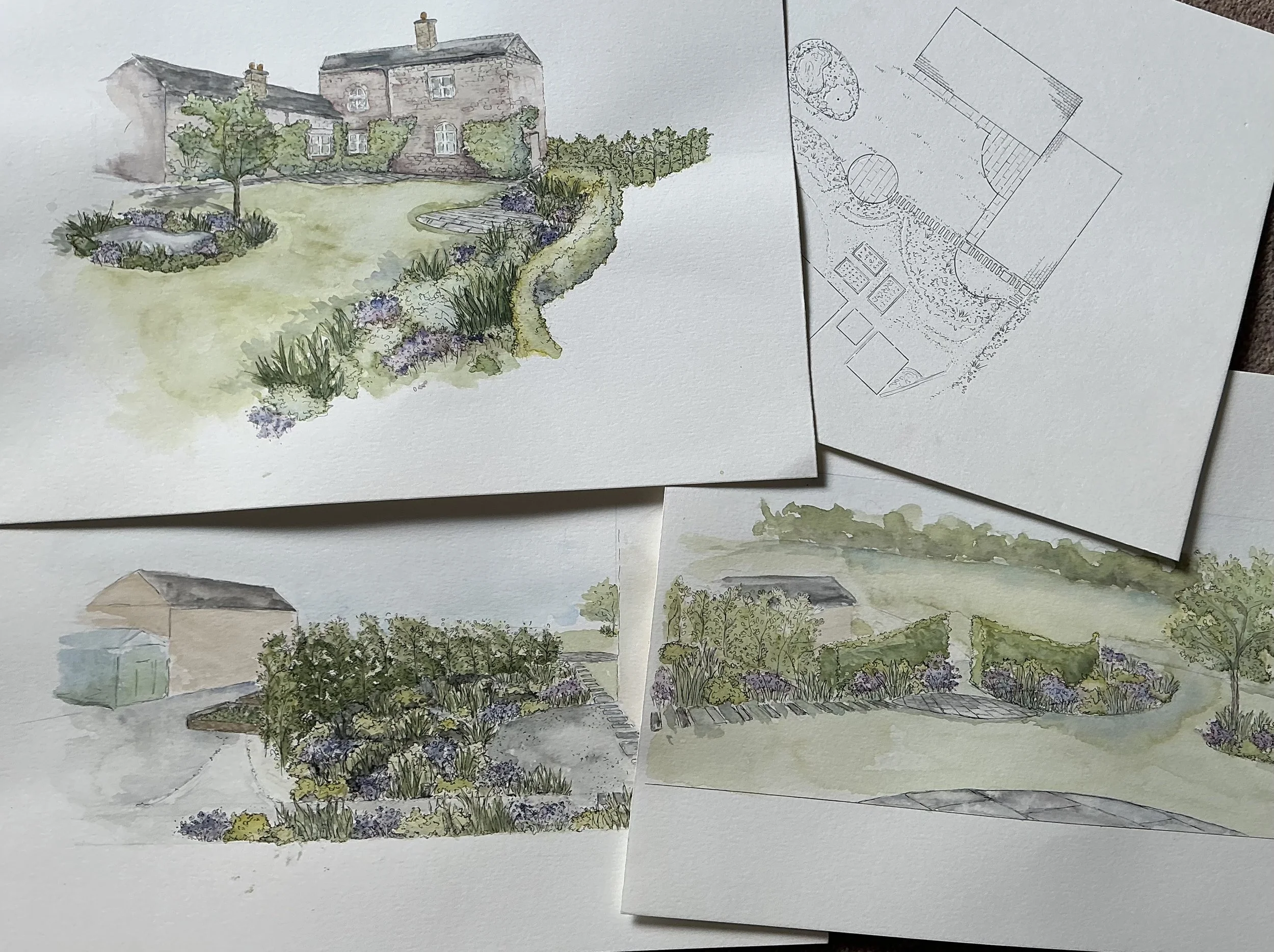 Hand-drawn watercolor landscape illustrations of a garden design, including a house with a garden, a layout plan, and various landscaping views.