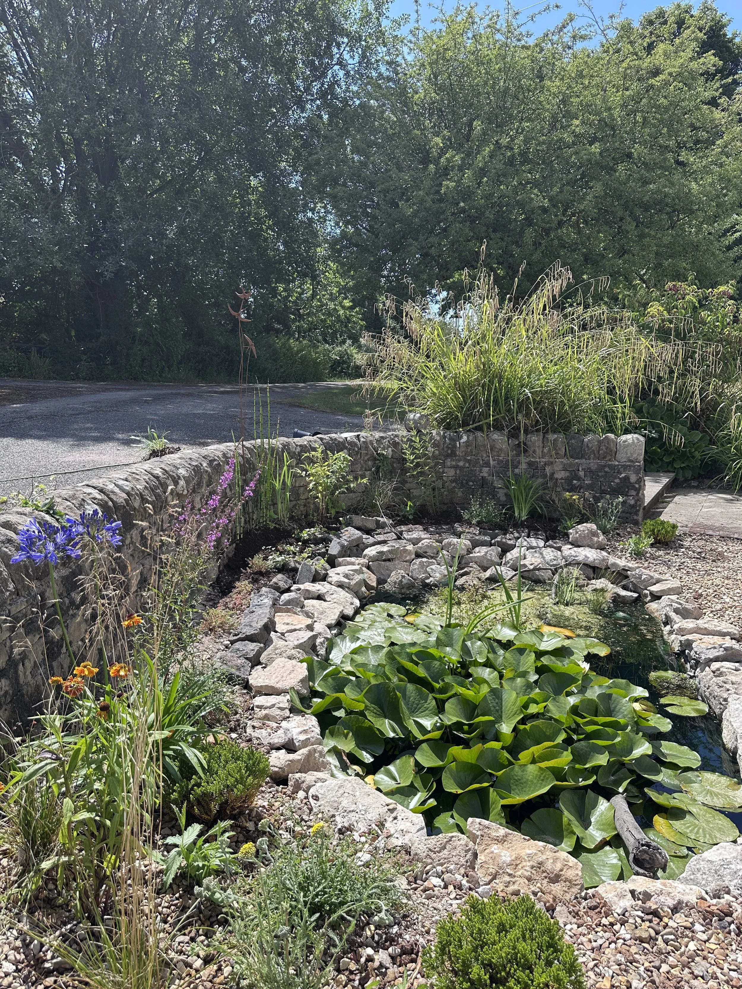 A small garden pond with lily pads surrounded by colorful flowers and plants, with a stone retaining wall and a paved road nearby, set in a lush green environment with tall trees.