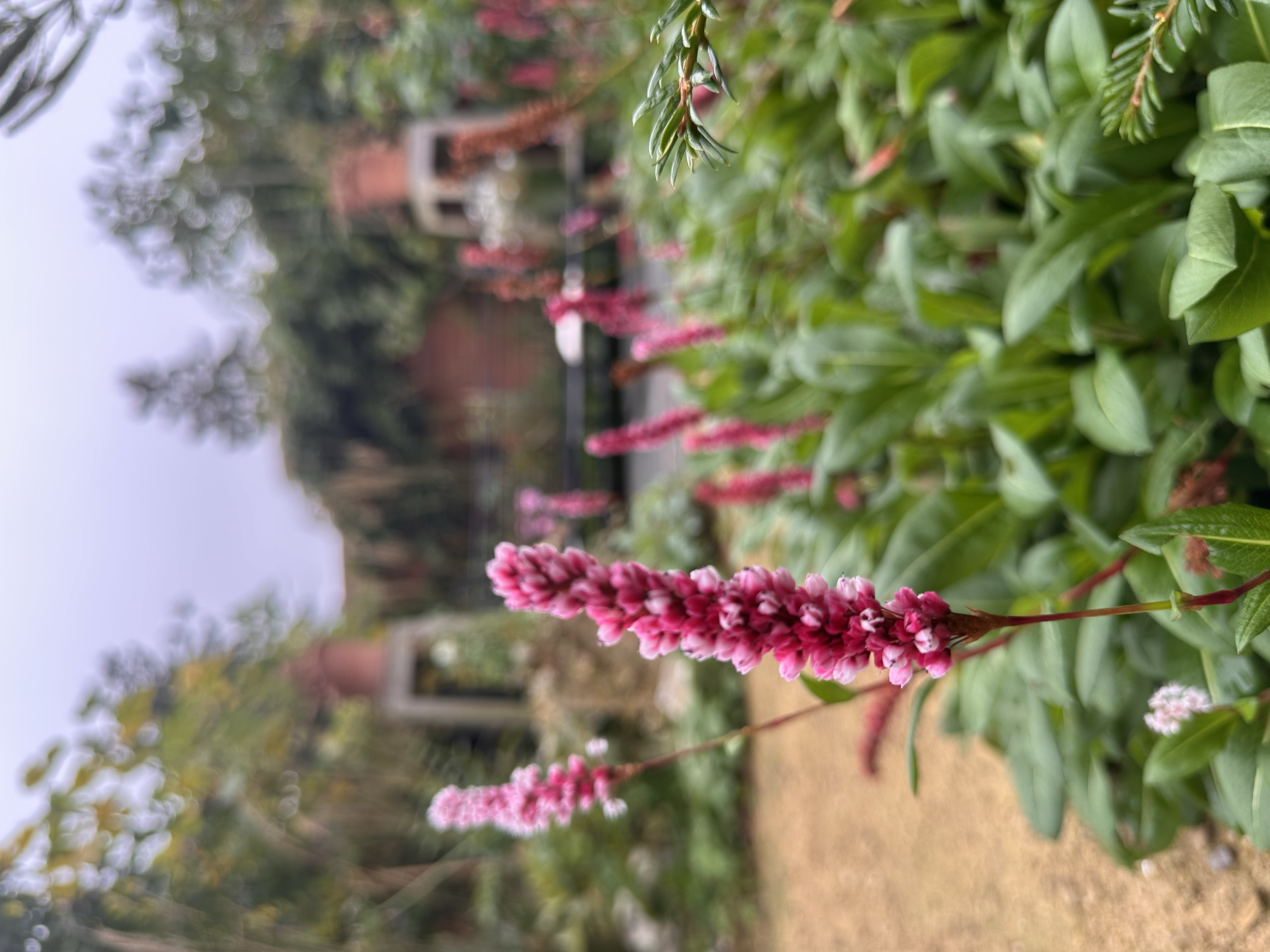 Garden Management Packages. 