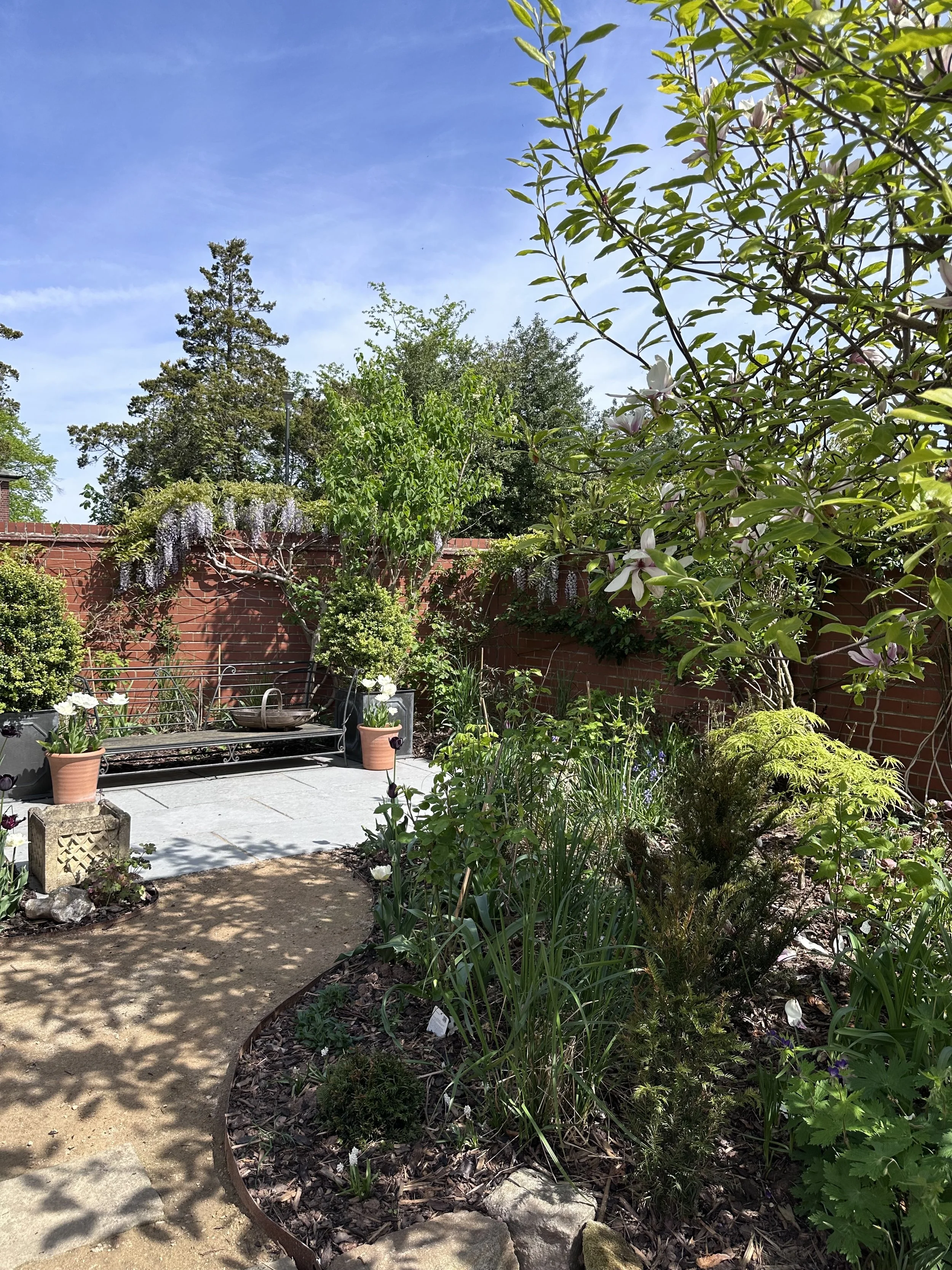 A lush garden with a curved gravel pathway, a black metal bench, potted plants, blooming trees, green shrubs, and a red brick wall under a clear blue sky.