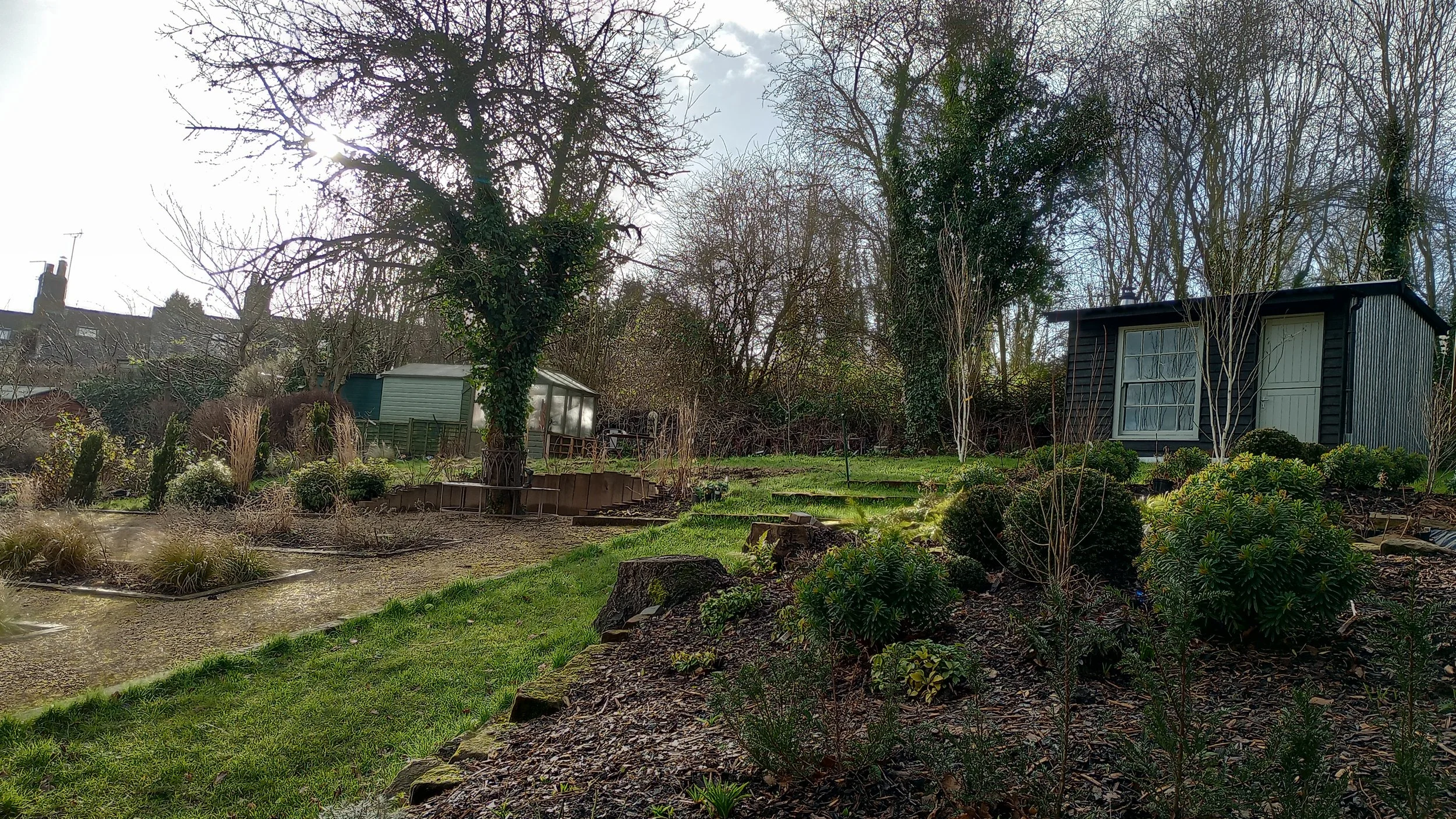 IMG_20240126_103619595_HDR.jpg