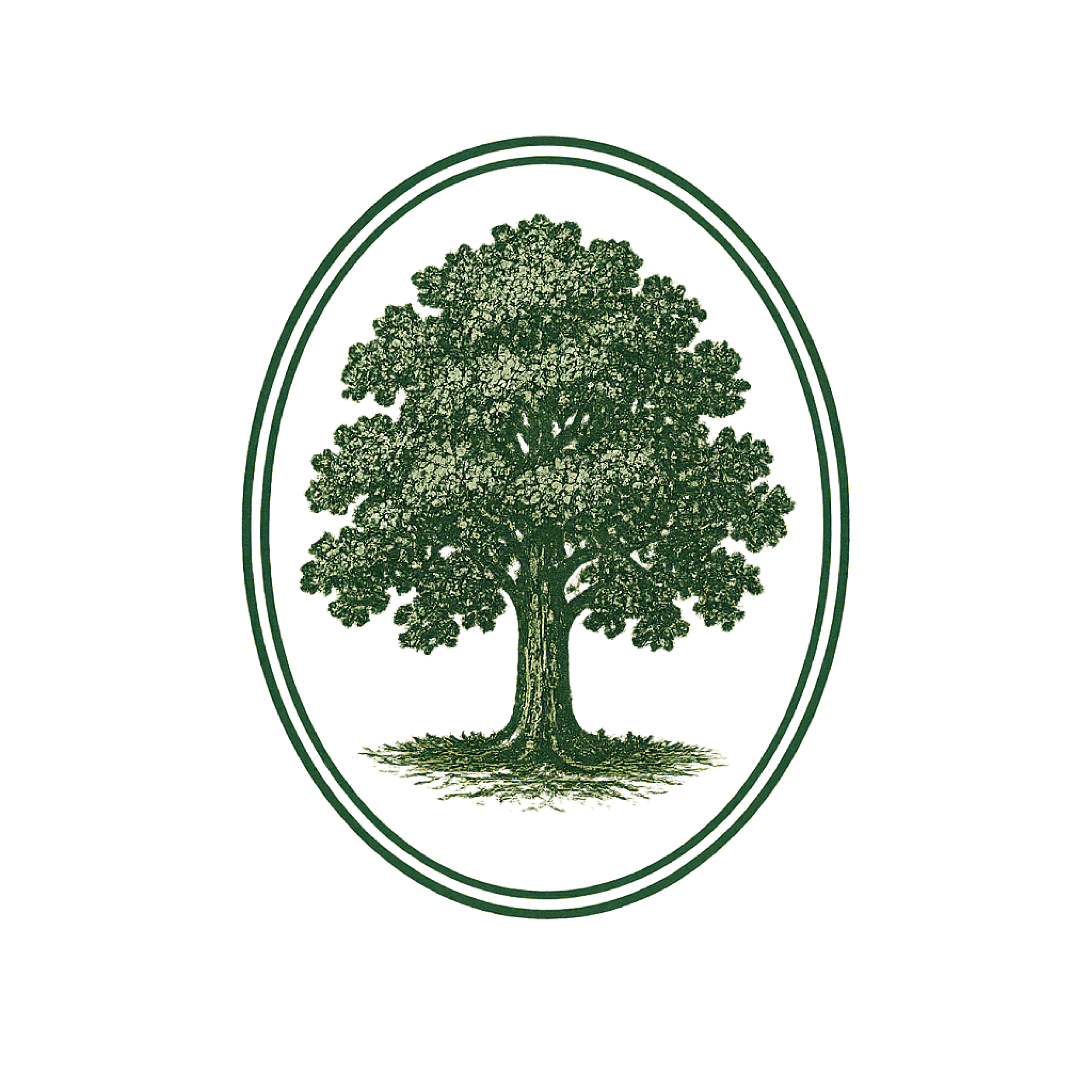 Illustration of a large tree with lush foliage inside an oval frame, resembling a vintage logo or emblem.