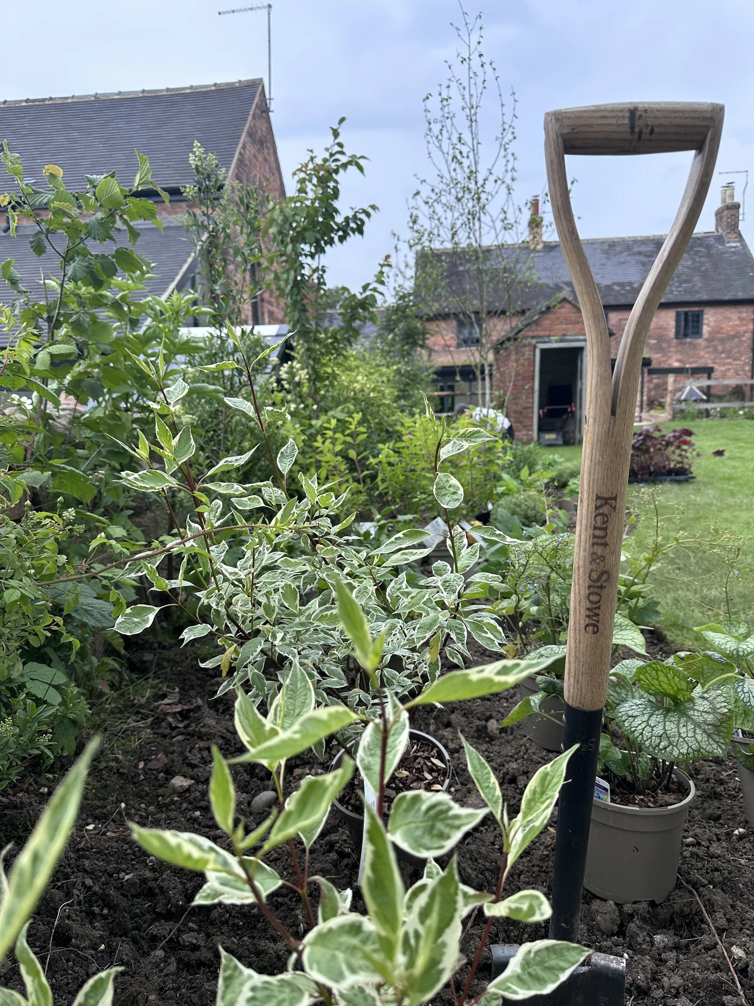 Garden with various green leafy plants and a garden trowel with the text 'Kenti & Stowe' engraved on the handle, set against a backdrop of houses and a grassy lawn.