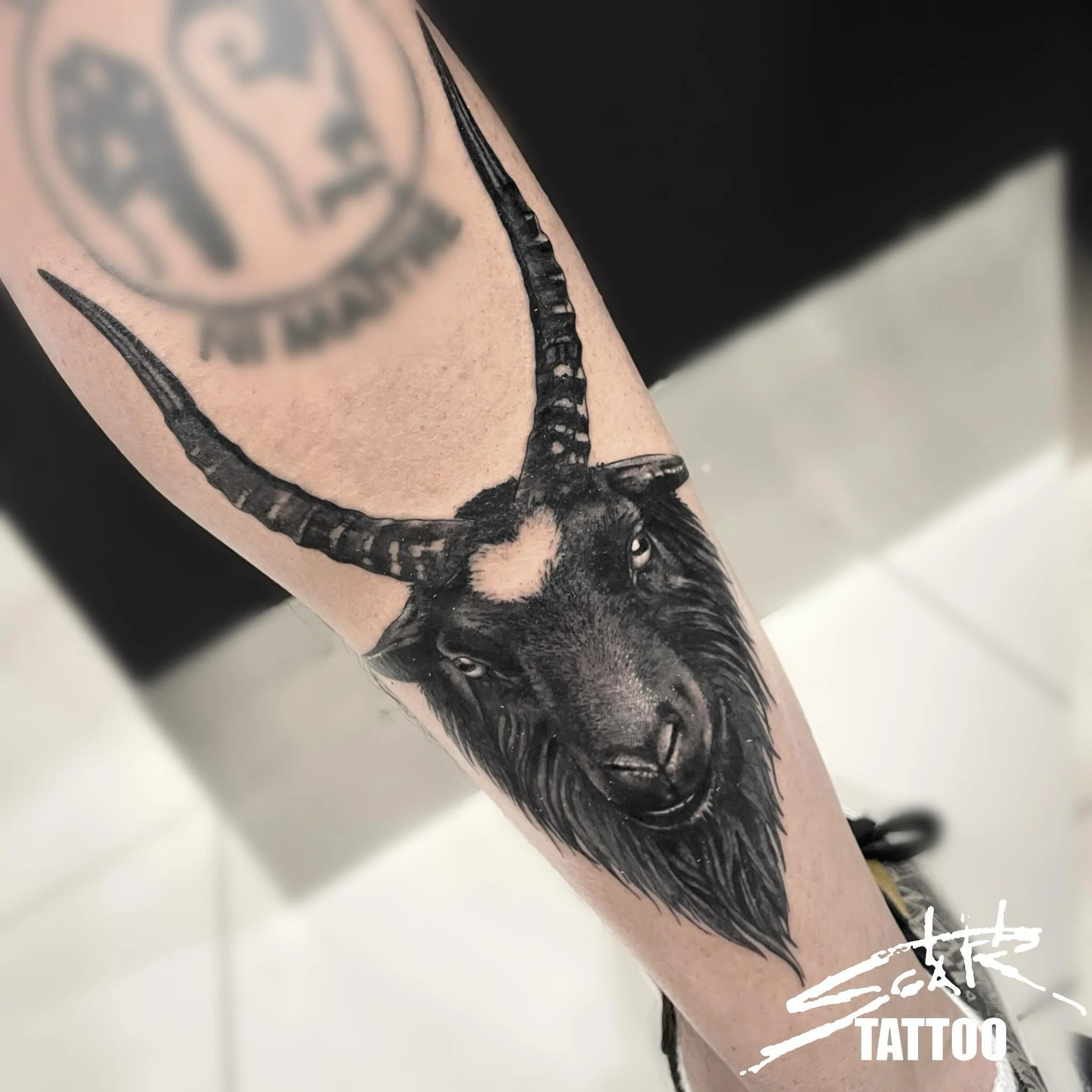 Dark goat, done by @alessandro_scartattoo . Get in touch for booking and enquiries! #londontattoo #camdentattoo #goattattoo #realistictattoo #blackandgreytattoo #realisticblackgrey #darktattoo