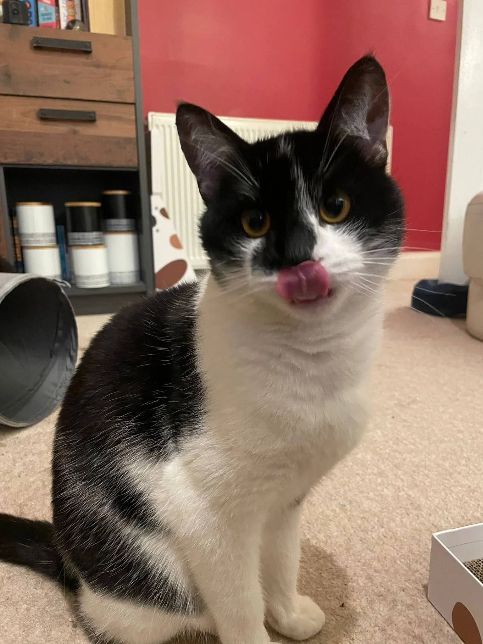 WhatsApp Image 2026-02-25 at 05.53.25 (4).jpeg