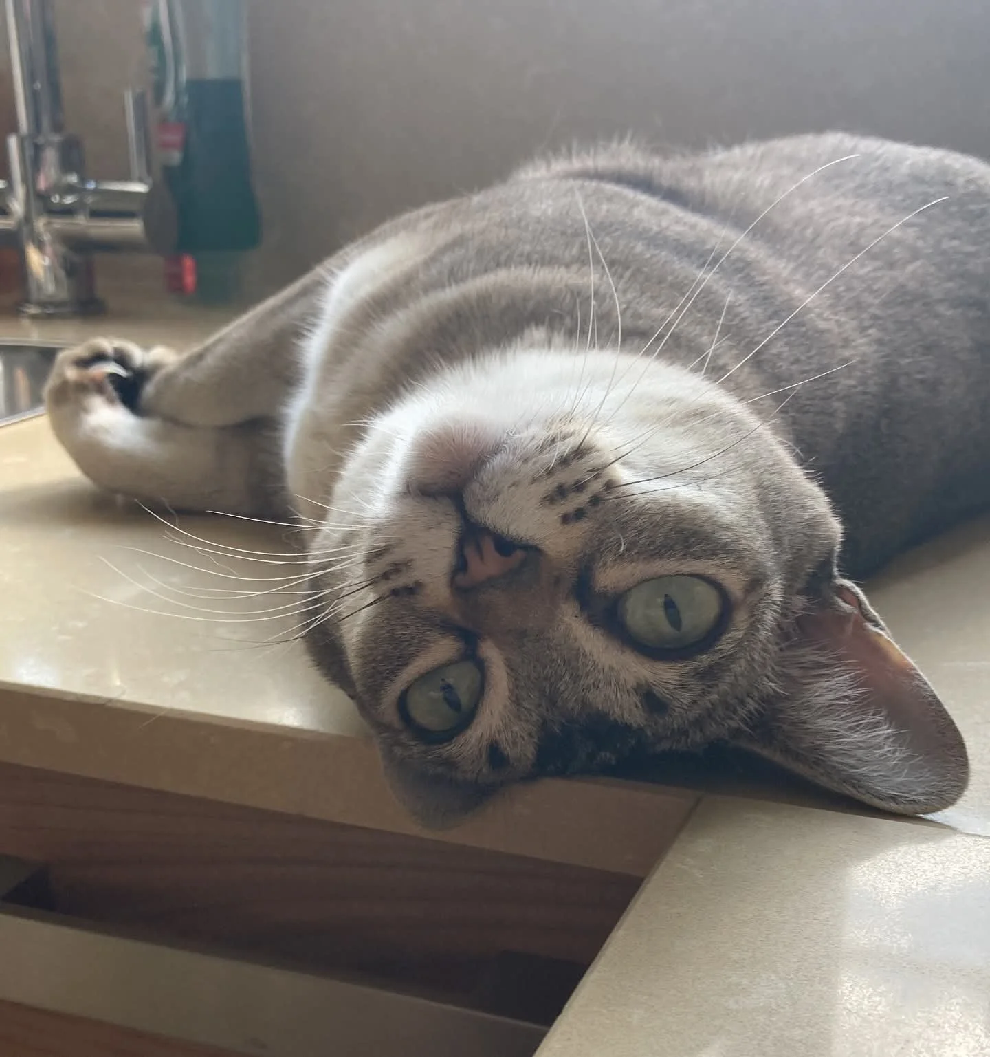 FB_IMG_1758169767388 (1).jpg