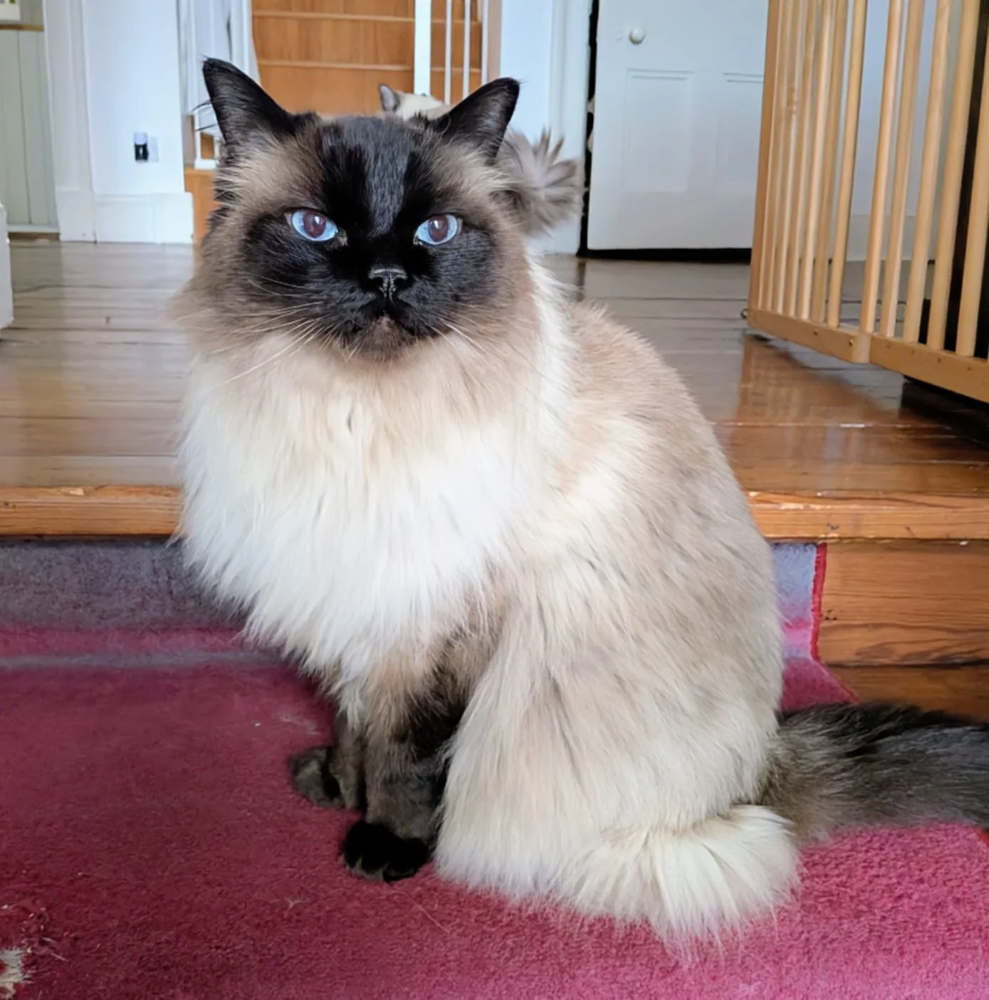 WhatsApp Image 2026-02-25 at 05.53.27 (4).jpeg