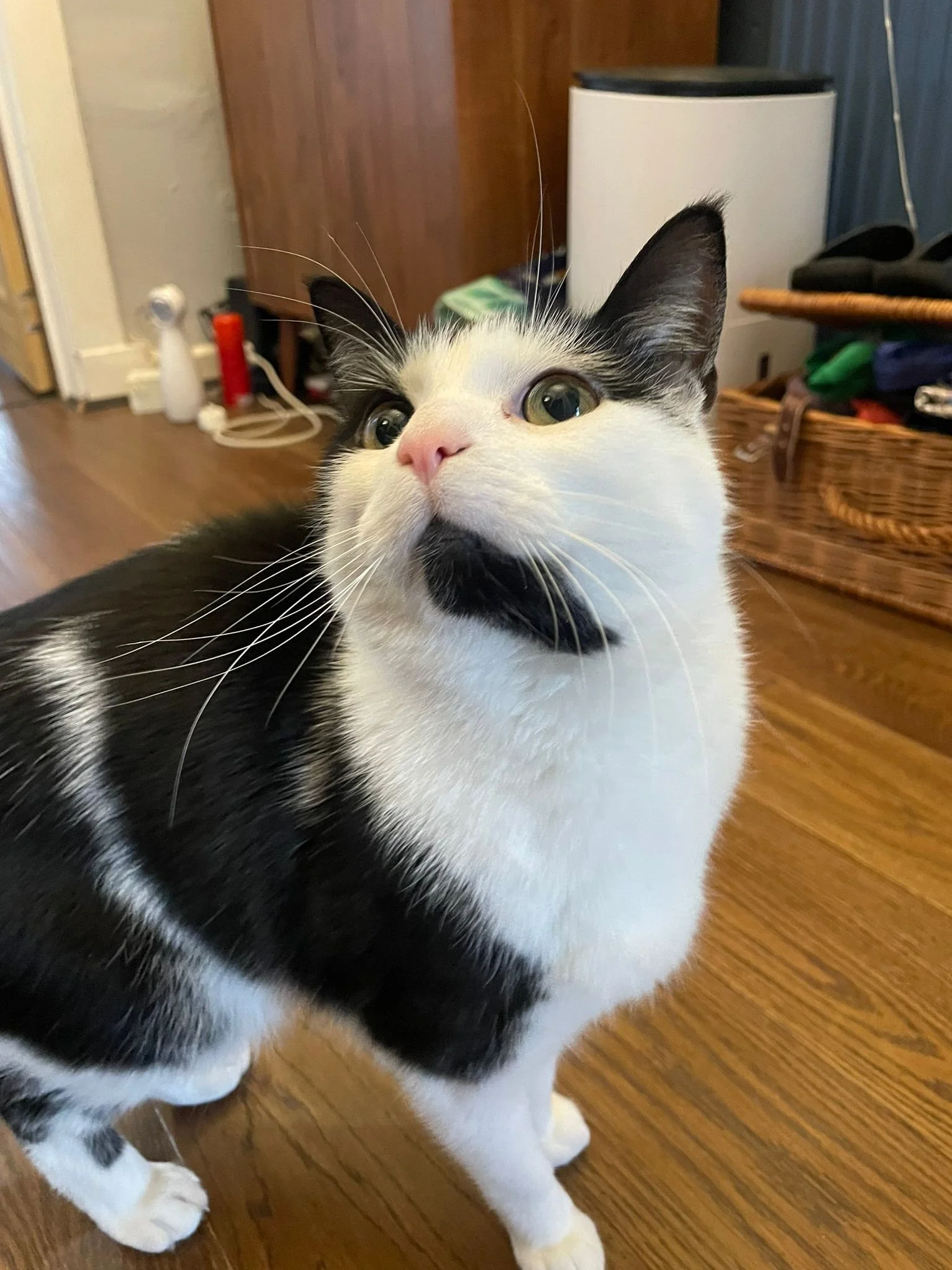 WhatsApp Image 2026-02-25 at 05.53.26 (1).jpeg