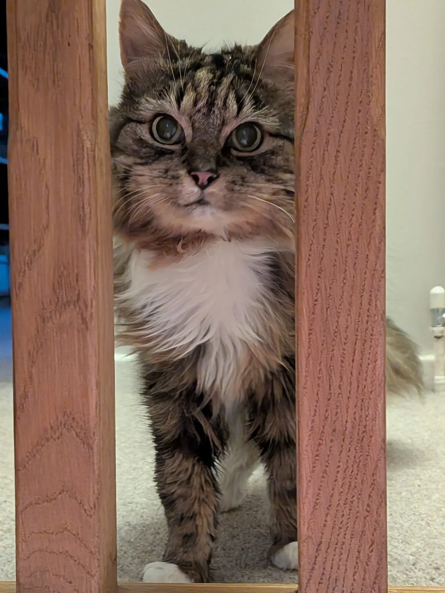 WhatsApp Image 2026-02-25 at 05.53.26.jpeg