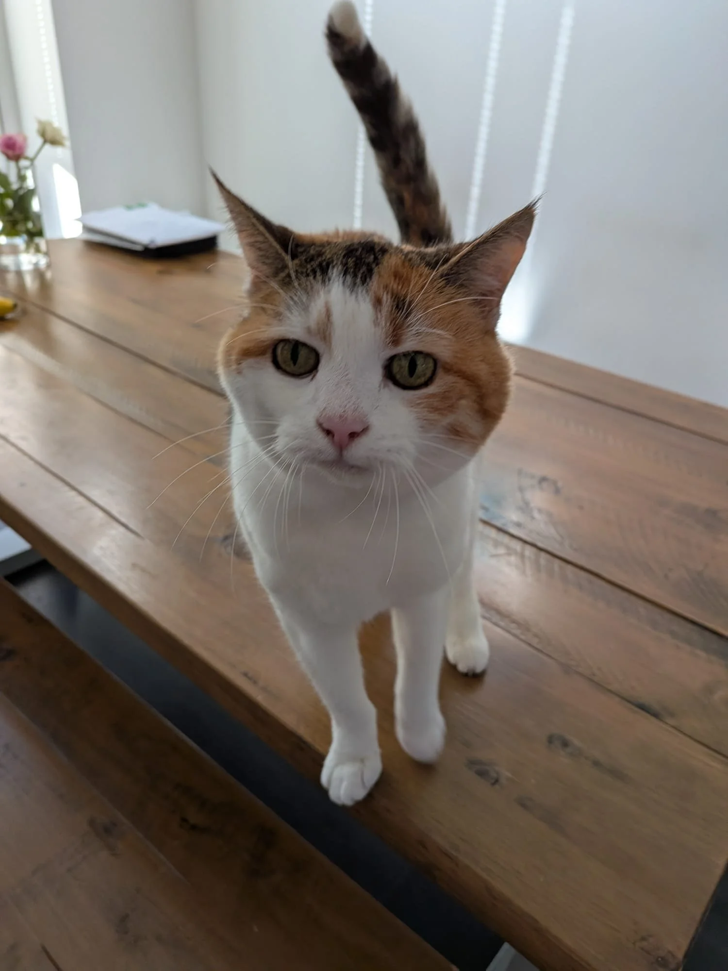 WhatsApp Image 2026-02-25 at 05.53.23.jpeg