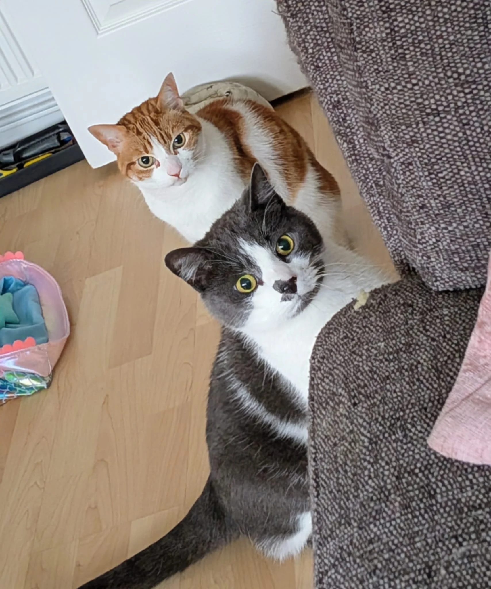 WhatsApp Image 2026-02-25 at 05.53.24.jpeg