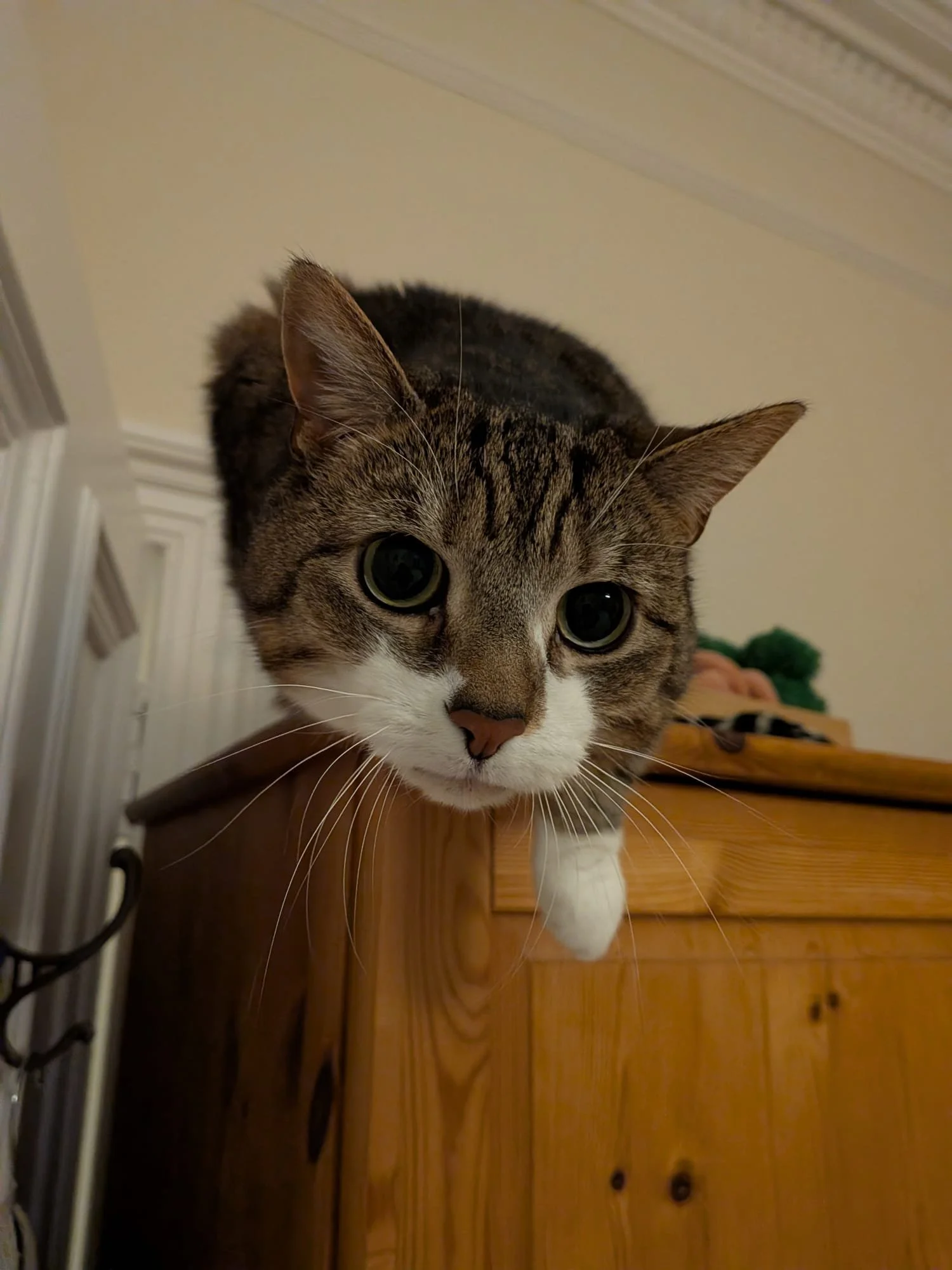 WhatsApp Image 2026-02-25 at 05.53.27 (3).jpeg