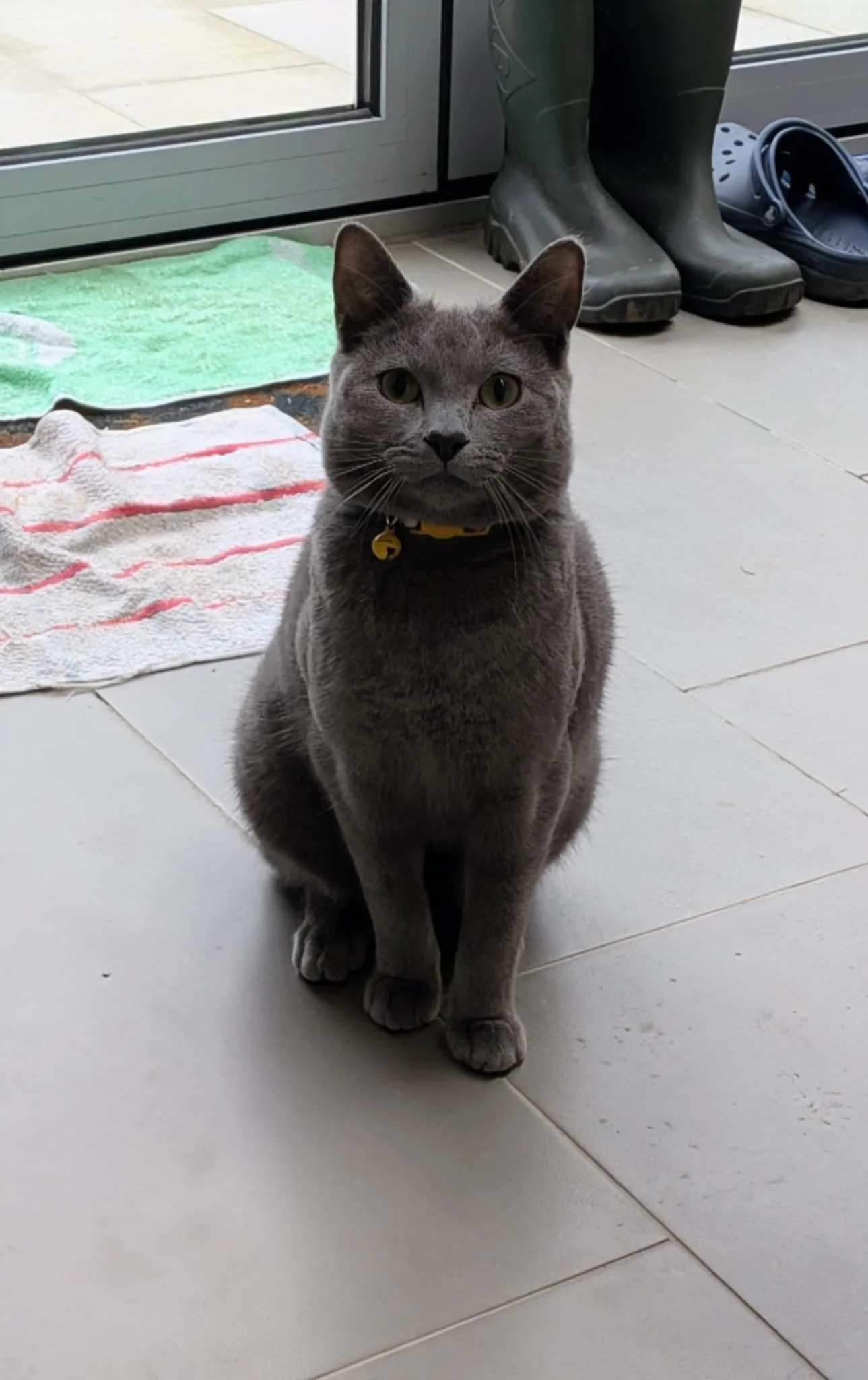 WhatsApp Image 2026-02-25 at 05.53.24 (1).jpeg