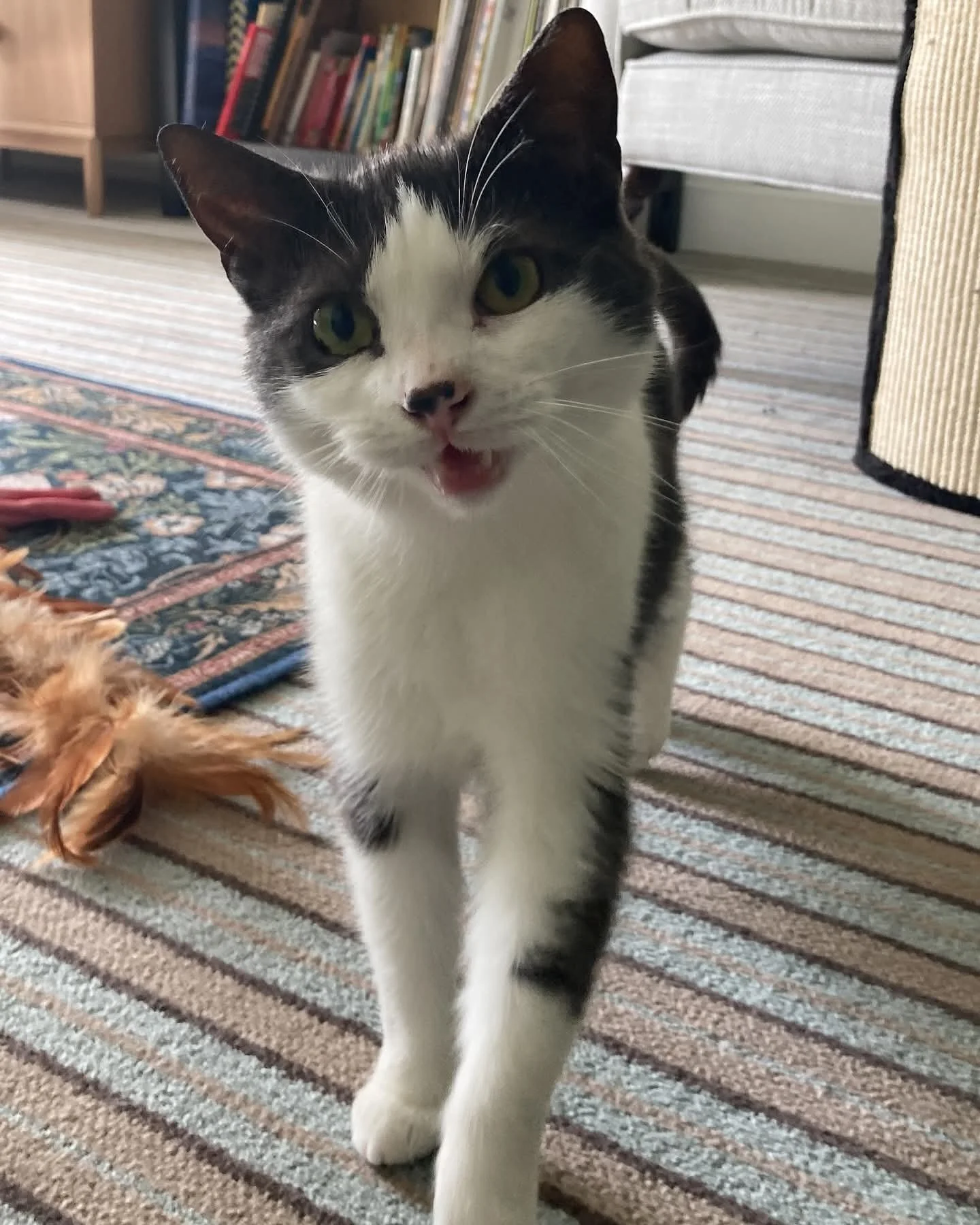 FB_IMG_1758169762529 (1).jpg